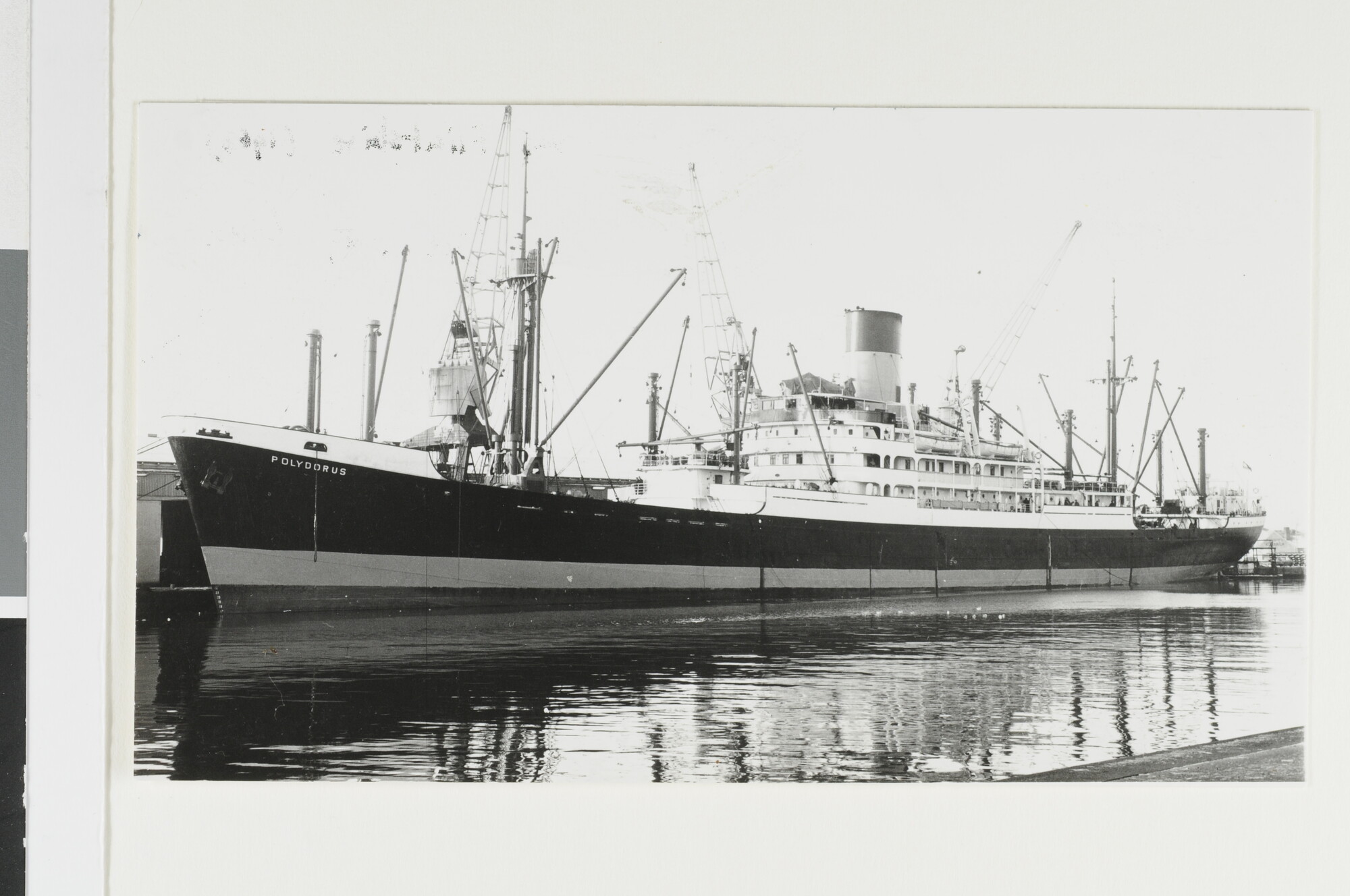 1993.0591; Het vrachtschip ms. Polydorus (ex- Alcinous) van de Nederlandsche Stoomvaart Maatschappij "Oceaan"; foto