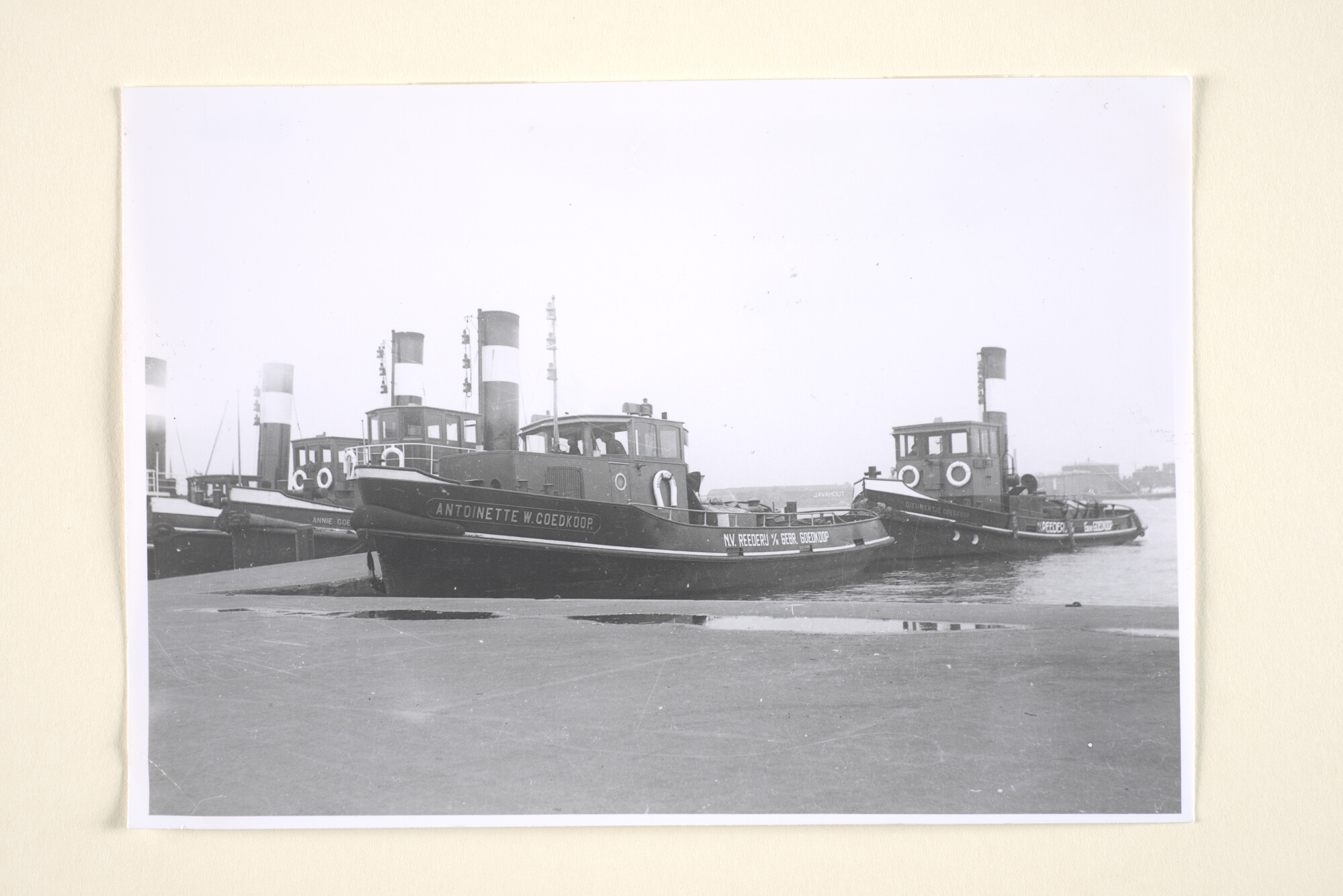 1996.3466 b; De havensleepboten 'Annie Goedkoop', 'Antoinette W. Goedkoop' en 'Dieuwertje; foto