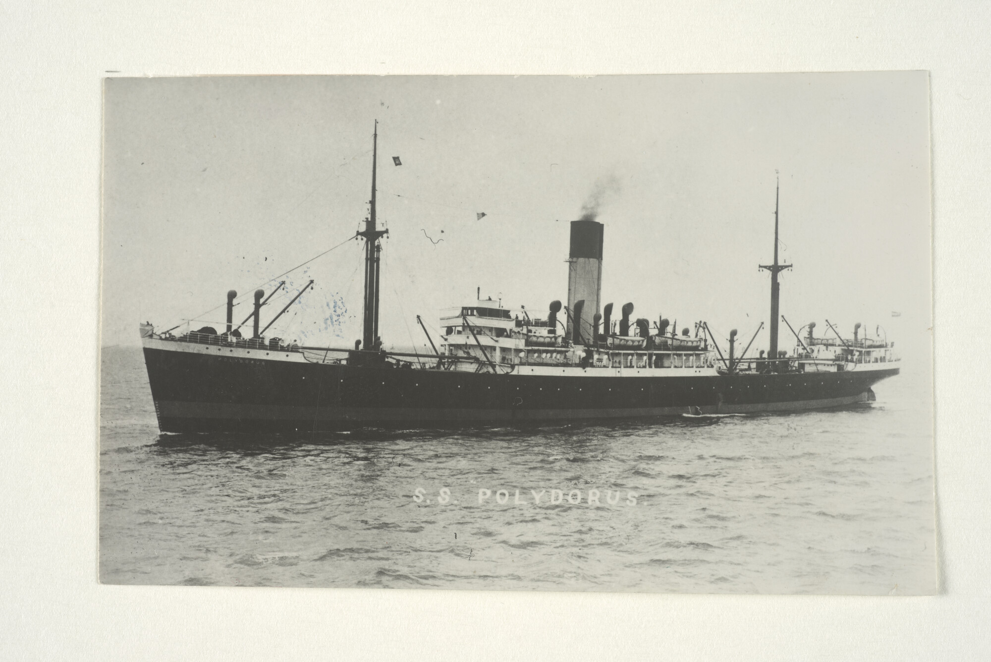 2000.3383; Het vrachtschip ss. 'Polydorus' van de Nederlandsche Scheepvaart Maatschappij "Oceaan"; foto