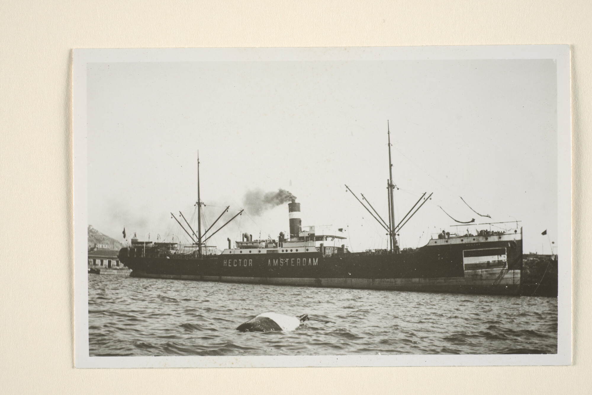 1995.6810; Het vrachtschip ss. Hector van de KNSM; foto