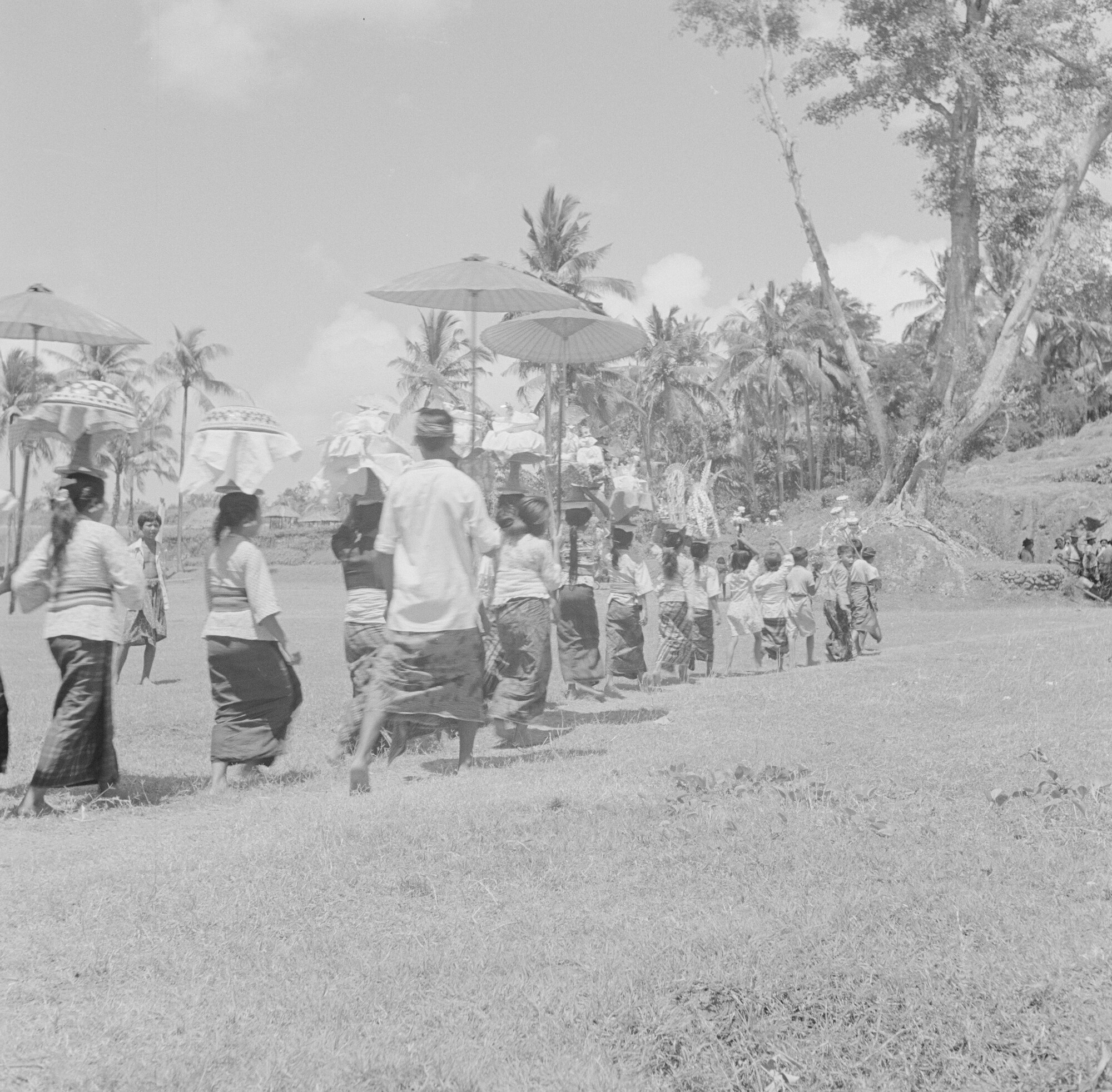 2015.2853; Negatief van vrouwen en kinderen op Bali; negatief