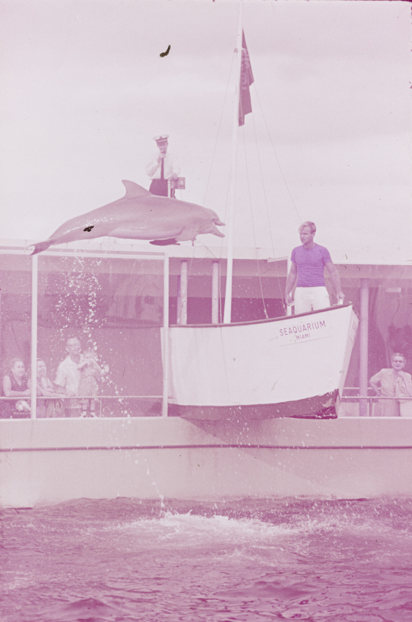 2015.0771; Dia van het dolfinarium in Sydney; diapositief