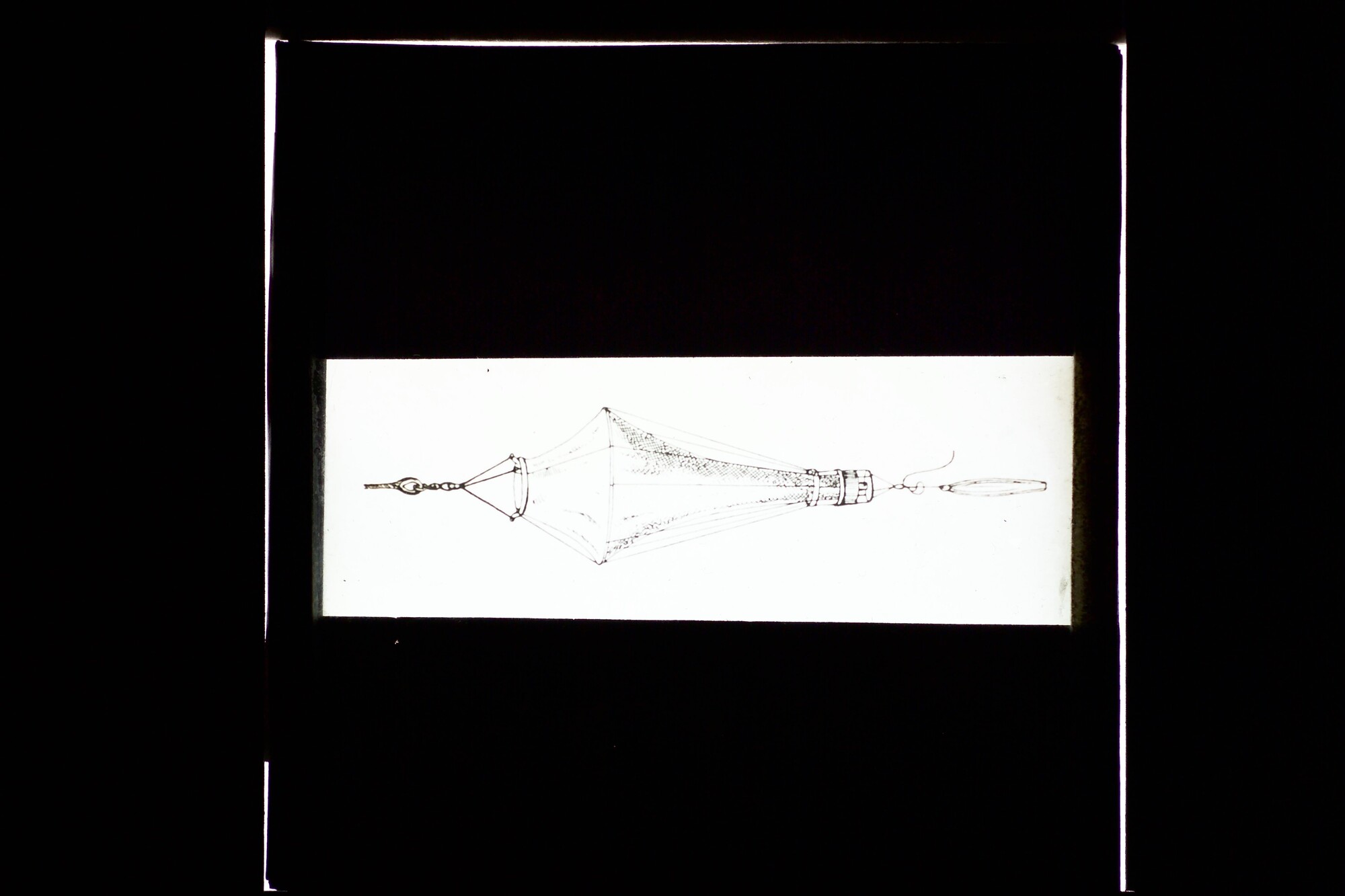S.3319(273); Afbeelding van een diepzeekor; lantaarnplaatje