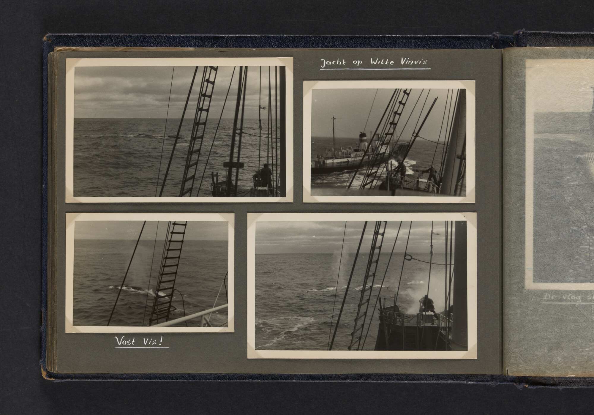 2021.0009; Fotoalbum van Joost Ossewaarde, 4e radiotelegrafist op walvismoederschip Willem Barendsz (II) en walvisjagers, met foto's van vangstseizoenen 1955-1956 en 1956-1957.; fotoalbum