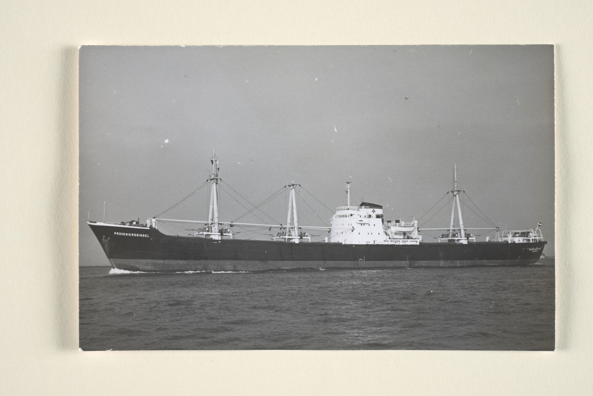 1996.3176; Het vrachtschip ms. Provenierssingel van de Invoer & Transport Maatschappij [...]; foto