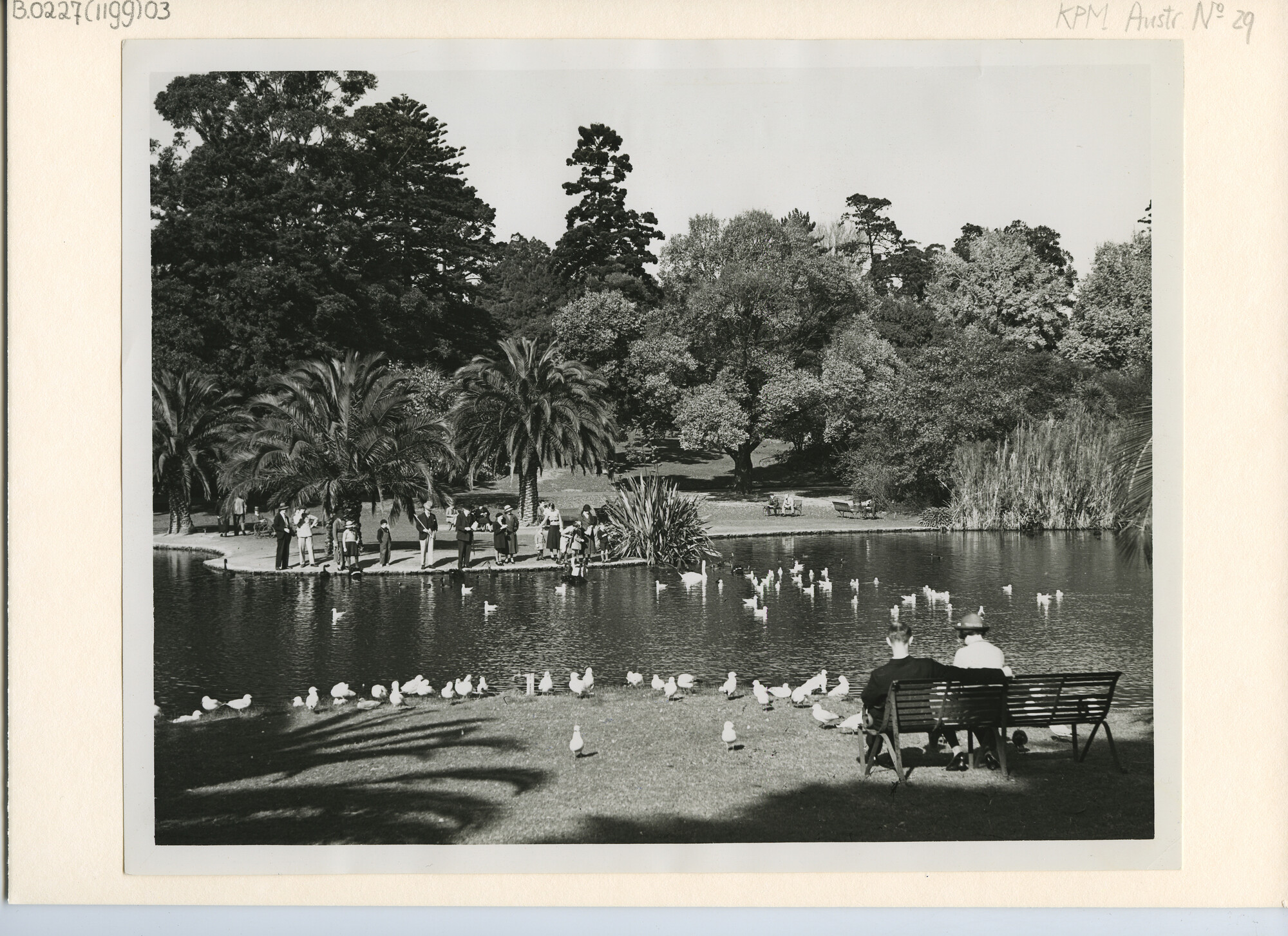 B.0227(1199)03; Foto van een straatgezicht te Melbourne (Australië); foto