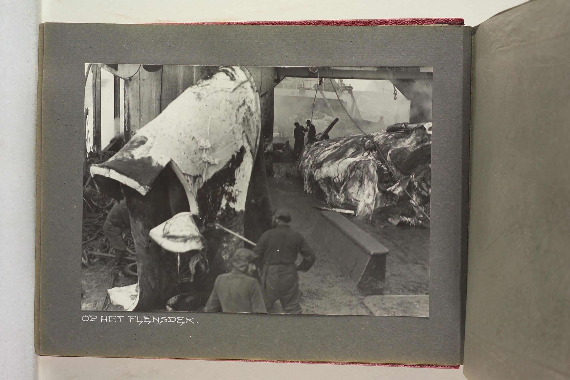 1996.1629; Foto's gemaakt aan boord van het walvismoederschip ms. Willem Barendsz (I); fotoalbum