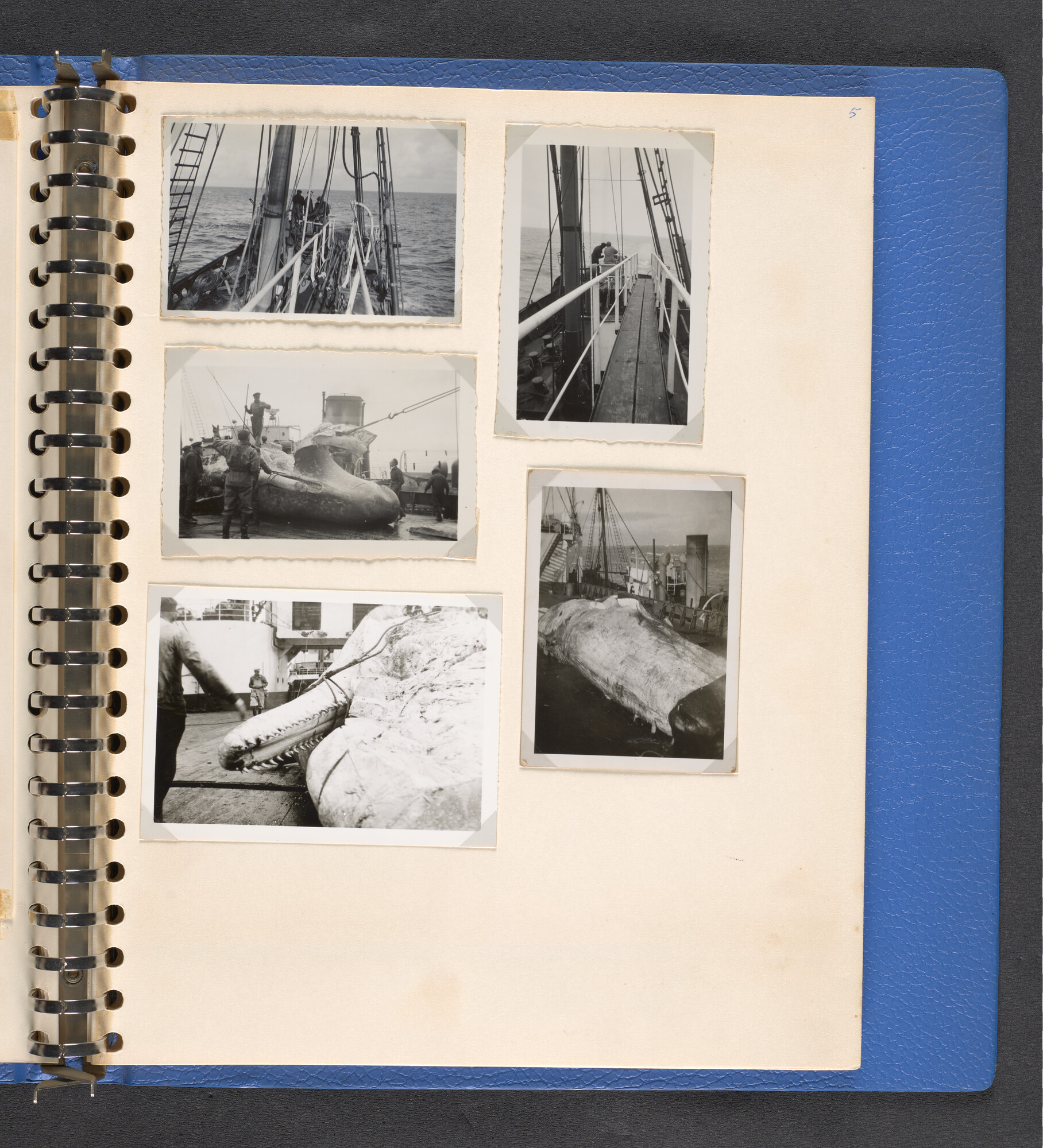 2022.1516; Multomap met foto's gemaakt tijdens reizen van walvisfabrieksschip Willem Barendsz (I), seizoenen 1947-'48 t/m 1950-'51; fotoalbum