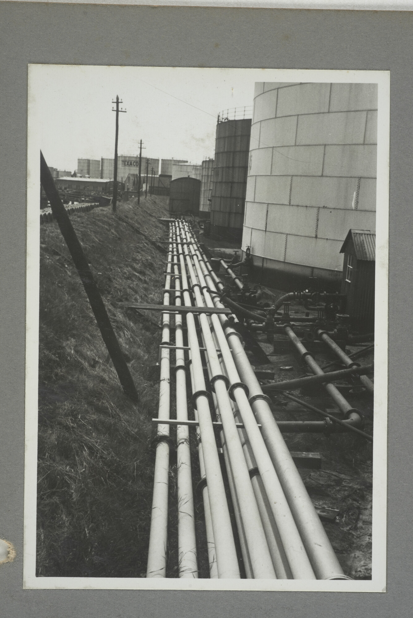 1998.2177; Omslag/ album met een grote hoeveelheid proeffoto's gemaakt door mw. A.M. Wolff-Koller in opdracht van de Gemeente Handelsinrichtingen in Amsterdam; omslag