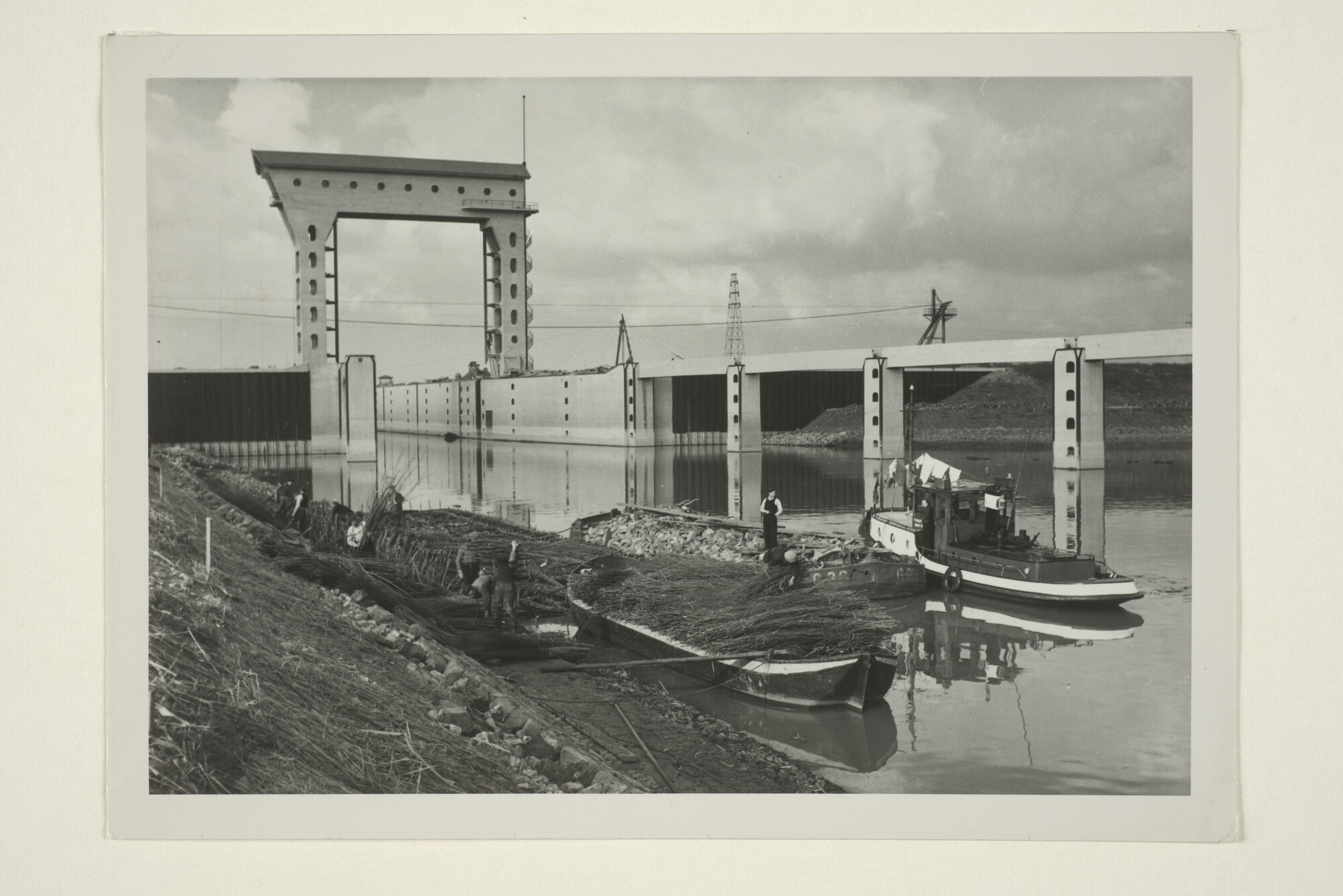 1998.0490; Rijshoutvlechters aan het werk bij de nieuwe sluis van Tiel, oktober 1951; foto
