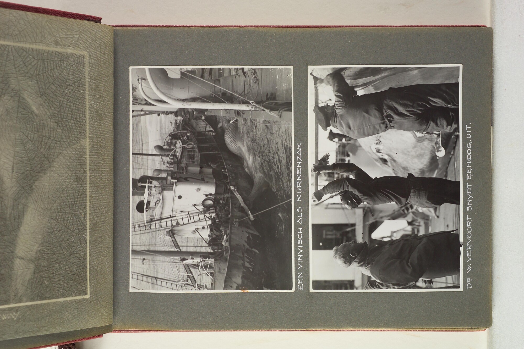 1996.1629; Foto's gemaakt aan boord van het walvismoederschip ms. Willem Barendsz (I); fotoalbum