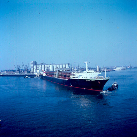 S.9100(4613); Dia van het Noorse LASH-schip ms. Arcadia Forest in de Vlothaven te [...]; diapositief