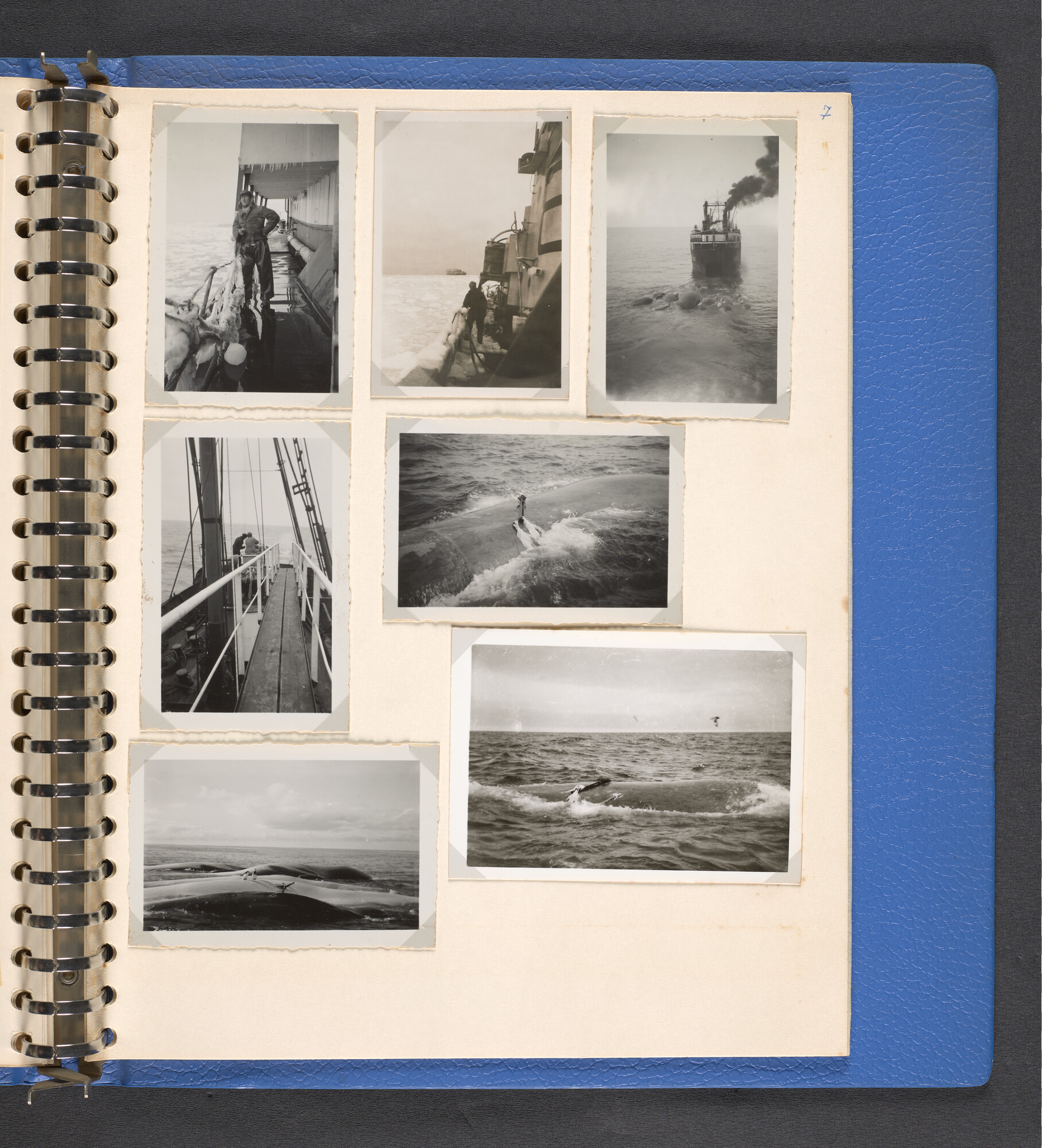 2022.1516; Multomap met foto's gemaakt tijdens reizen van walvisfabrieksschip Willem Barendsz (I), seizoenen 1947-'48 t/m 1950-'51; fotoalbum