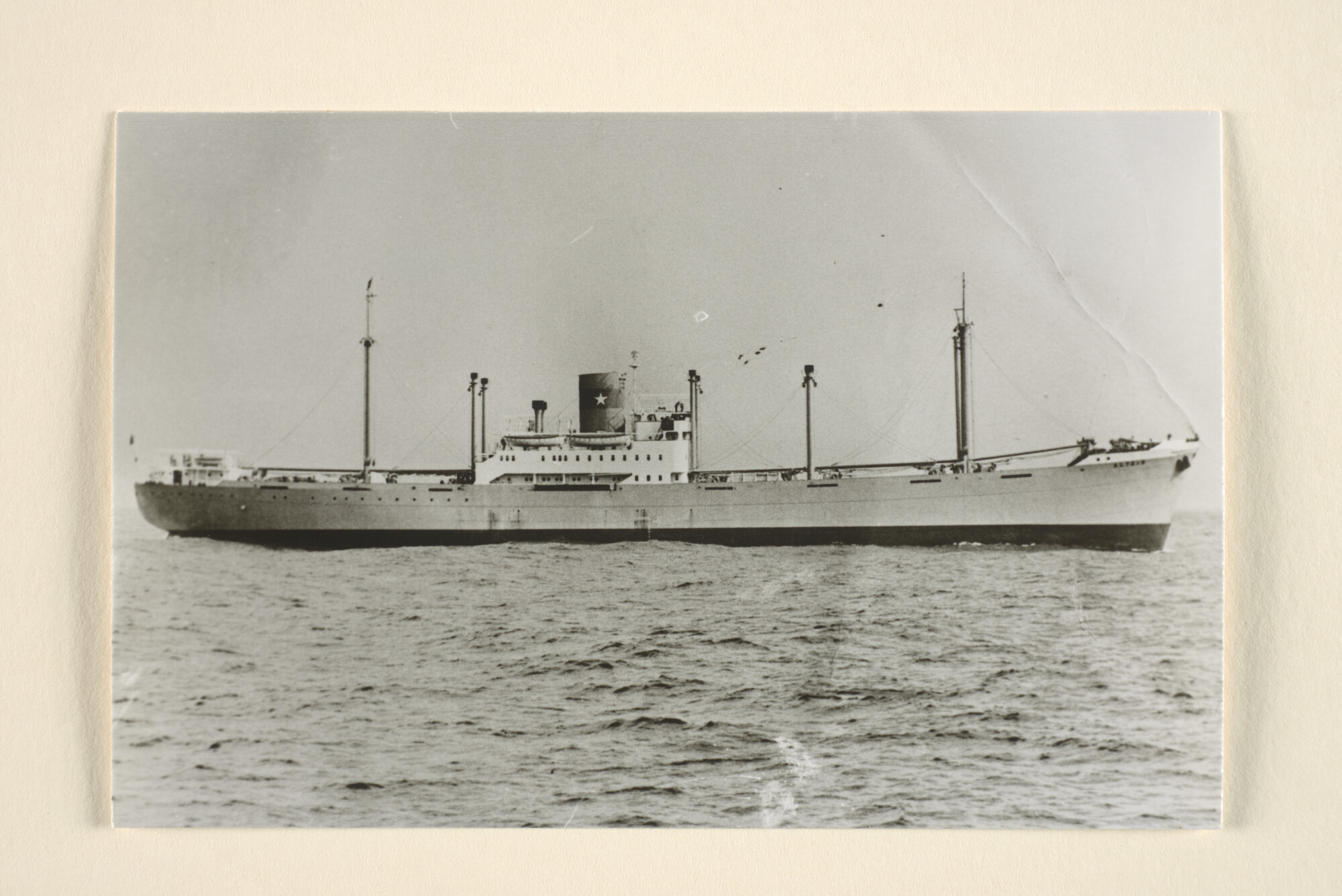 1996.0818; Het vrachtschip ms. 'Altair' van Van Nievelt Goudriaan & Co; foto