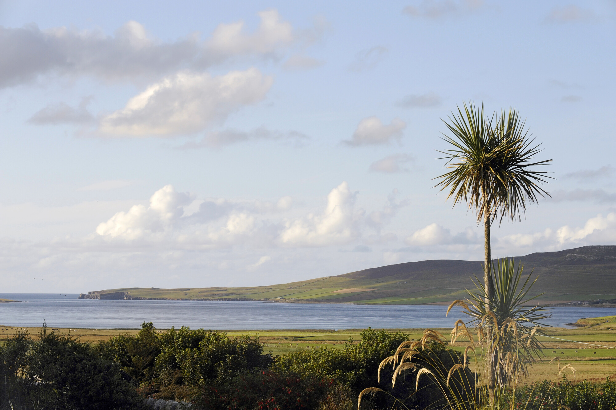 2019.0235; Kleurenfoto van een kustlandschap op Mainland, een van de Orkney-eilanden, 2009; foto
