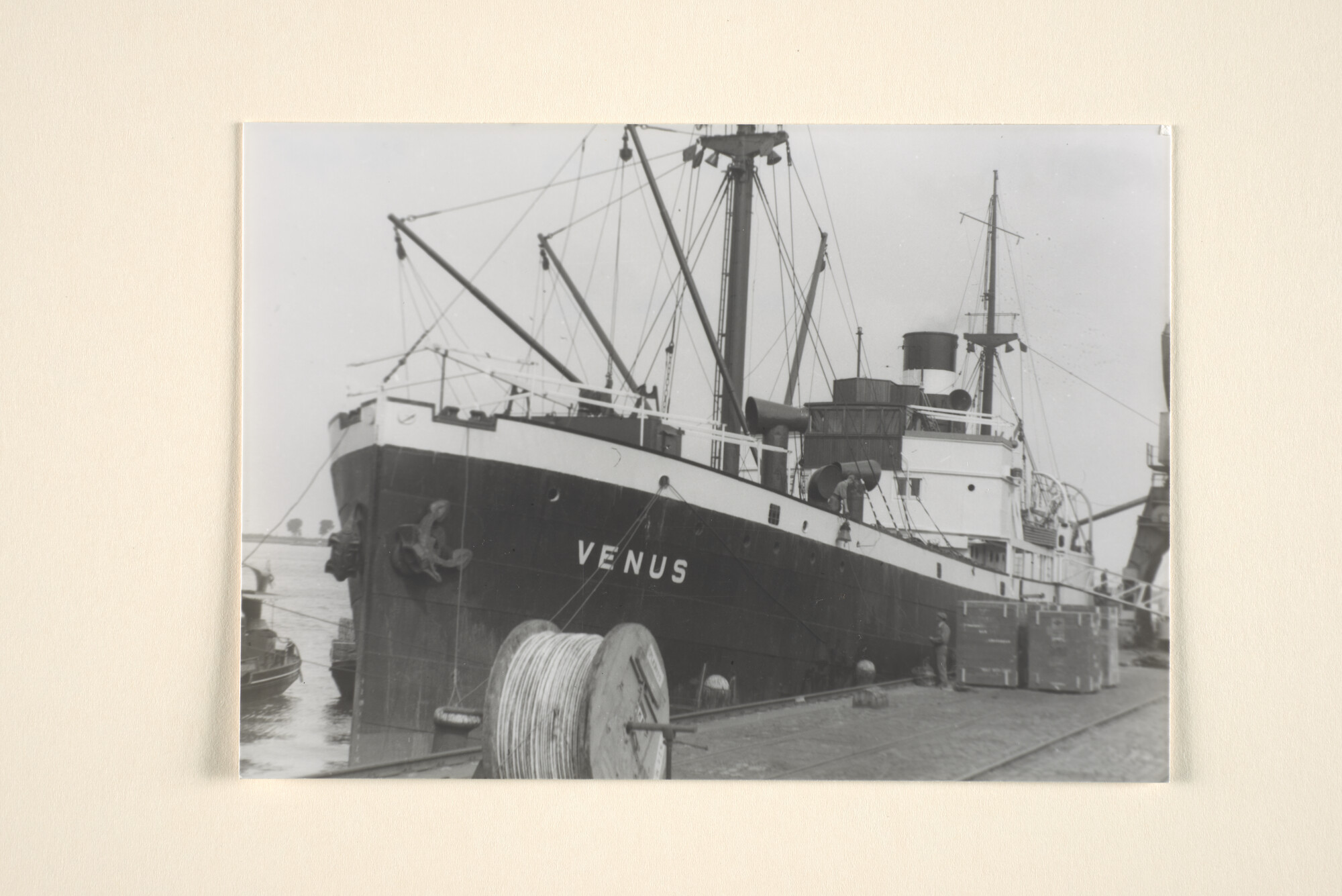 1995.6975; Het vrachtschip ss. Venus van de KNSM in een haven; foto