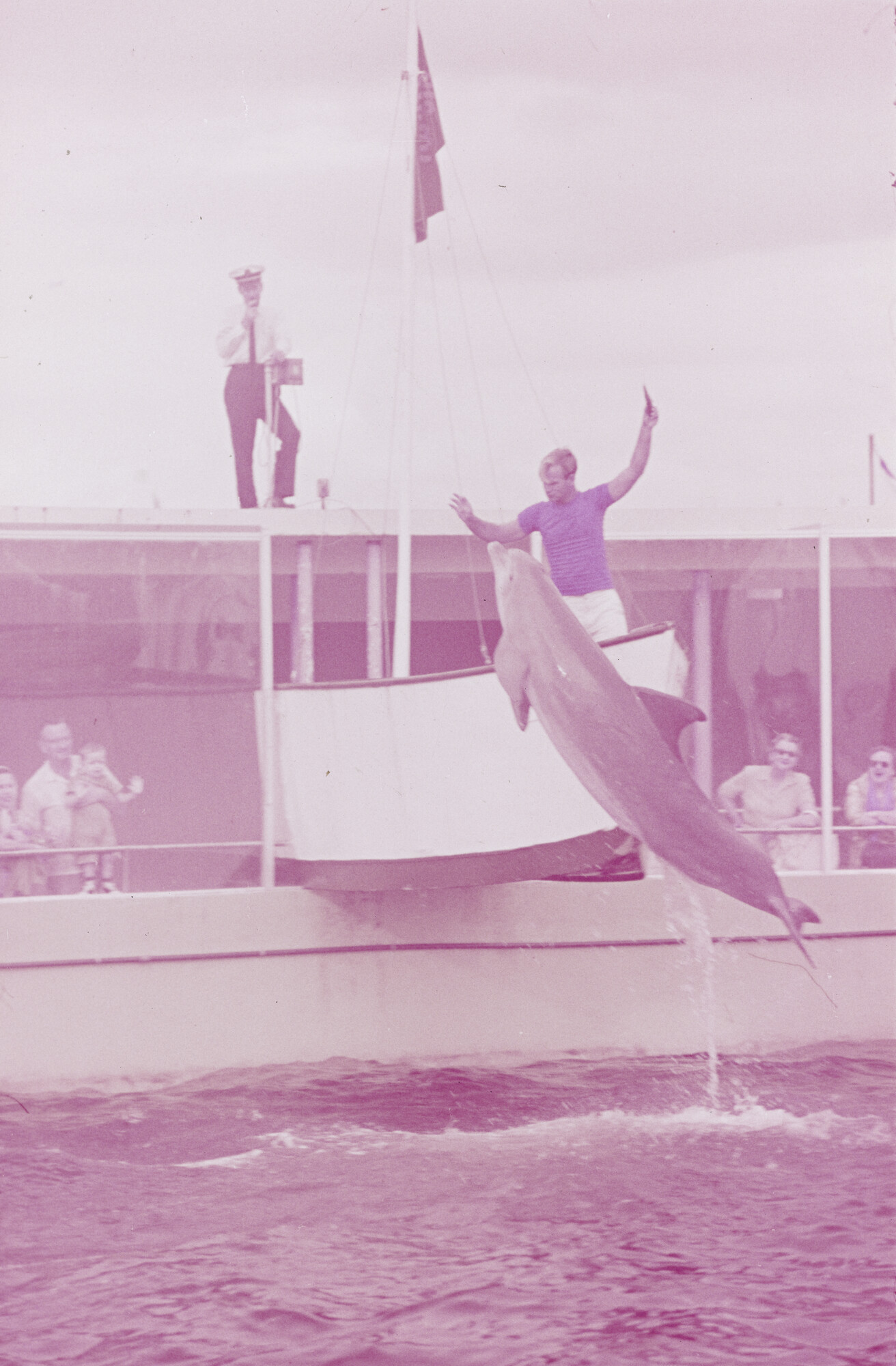 2015.0767; Dia van het dolfinarium in Sydney; diapositief