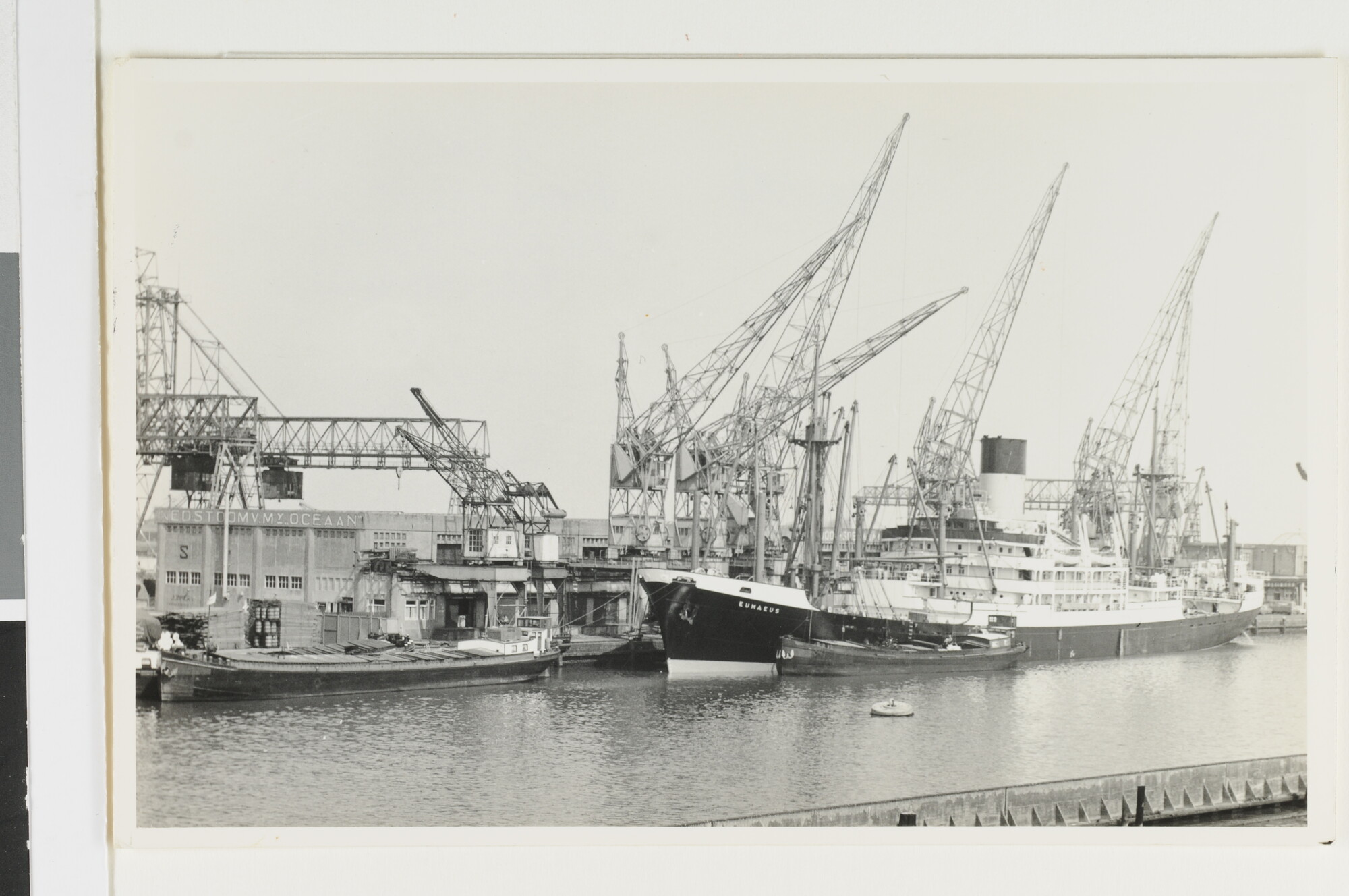 1993.0597; Het vrachtschip ms. 'Eumaeus', van de Nederlandsche Stoomvaart Maatschappij "Oceaan"; foto