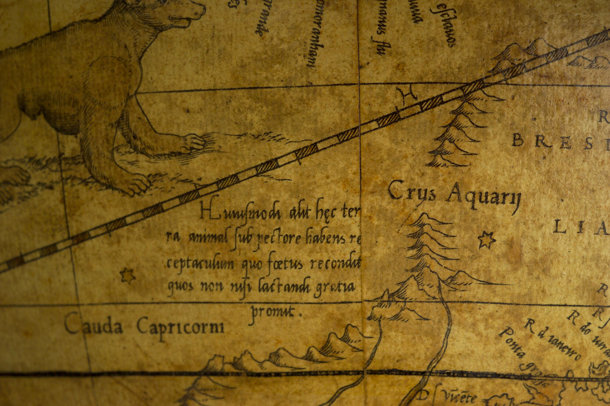 A.0145(025)01; Aardglobe van 42 cm. in doorsnede door Gerard Mercator, 1541, waarschijnlijk een facsimile editie uit 1875; globe