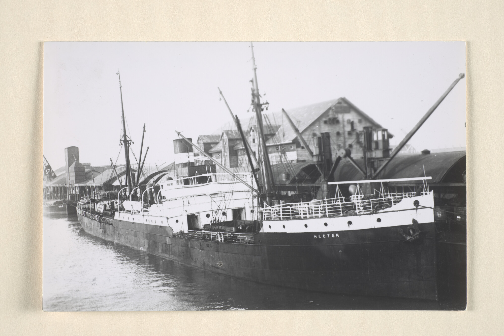 1995.6811; Het vrachtschip ss. Hector van de KNSM; foto