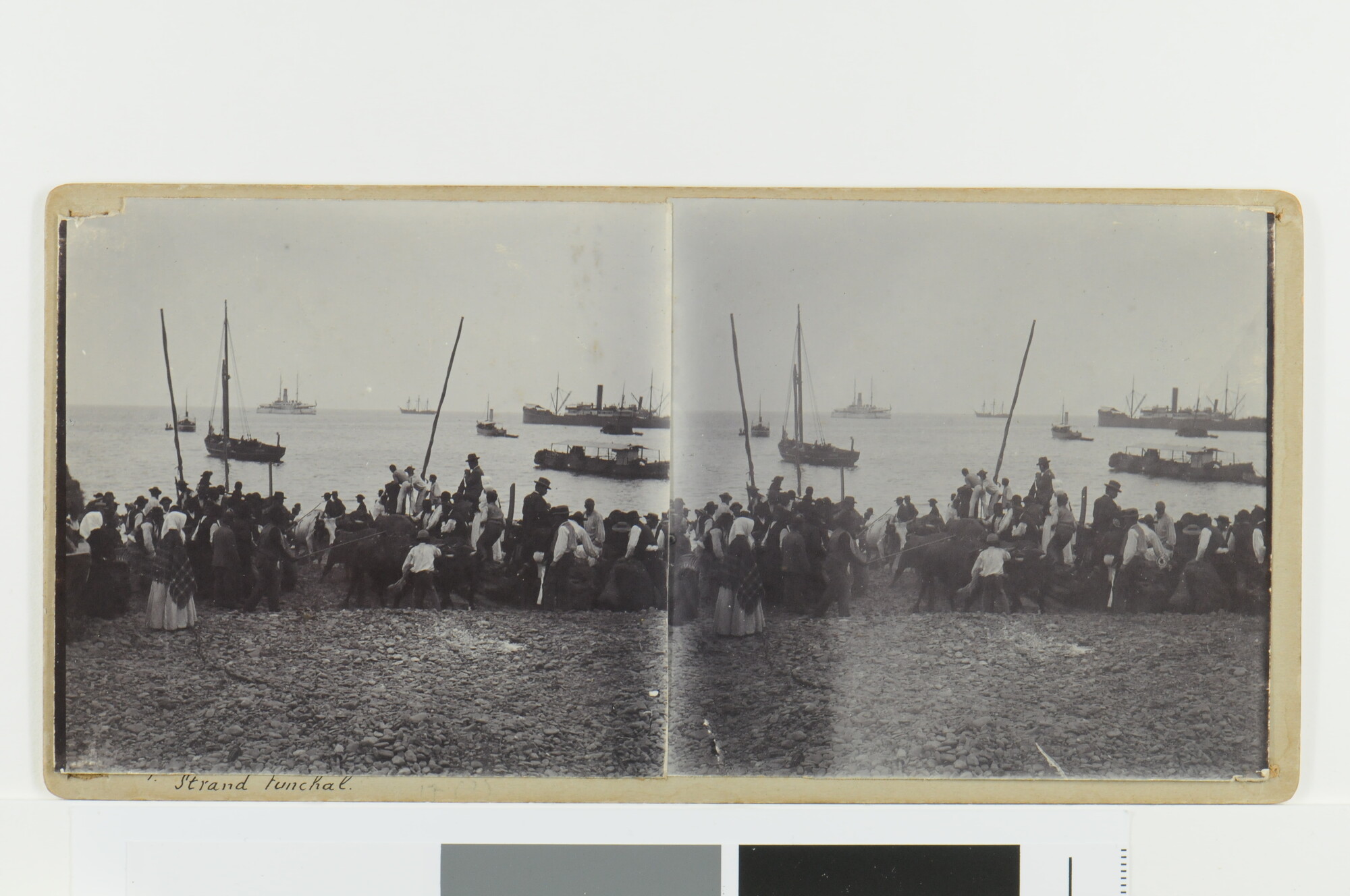 S.4834(01)01; Eén van een serie van acht stereofoto's gemaakt door A.A. Visser aan boord van de 'Koningin Wilhelmina der Nederlanden'; foto