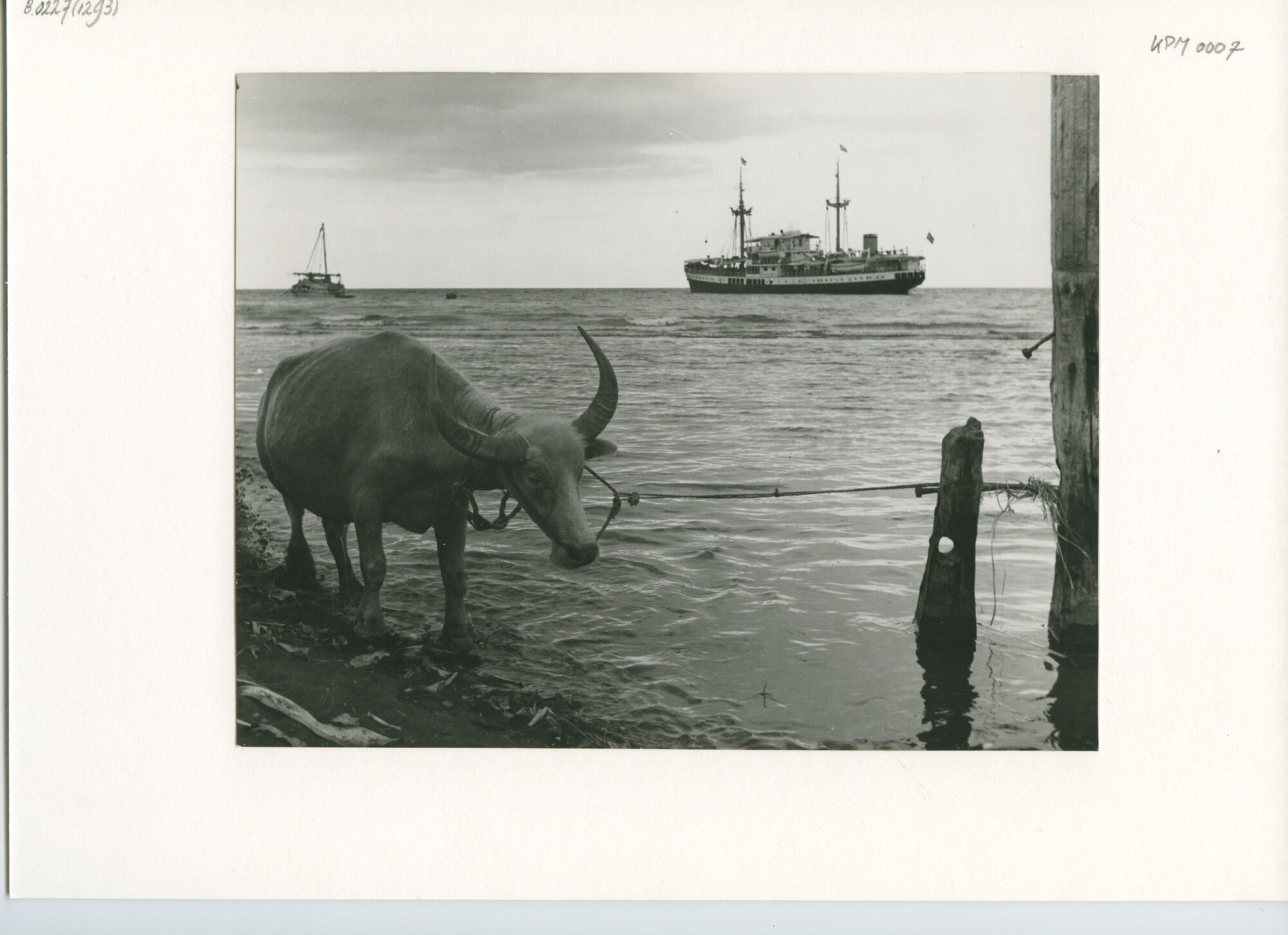 B.0227(1293); Foto van ms. Batoela op de rede van Boeleleng; foto
