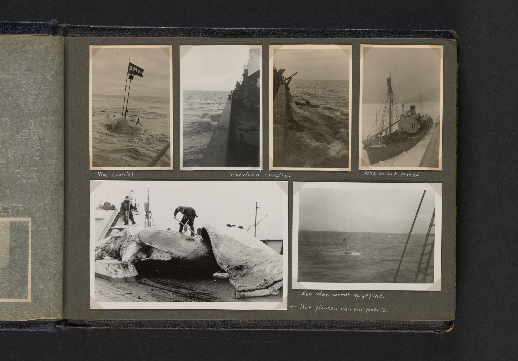 2021.0009; Fotoalbum van Joost Ossewaarde, 4e radiotelegrafist op walvismoederschip Willem Barendsz (II) en walvisjagers, met foto's van vangstseizoenen 1955-1956 en 1956-1957.; fotoalbum