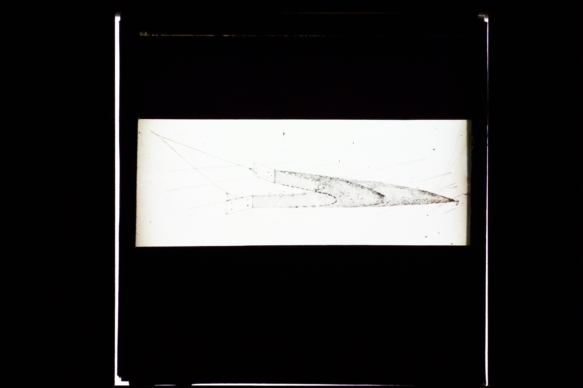 S.3319(280); Schematische tekening van een diepzeekor; lantaarnplaatje