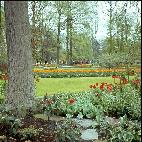 S.9100(0752); De 'Keukenhof' bij Lisse; diapositief