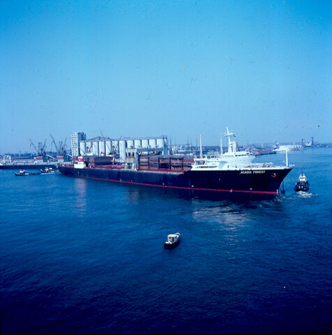 S.9100(4614); Dia van het Noorse LASH-schip ms. Arcadia Forest in de Vlothaven te [...]; diapositief