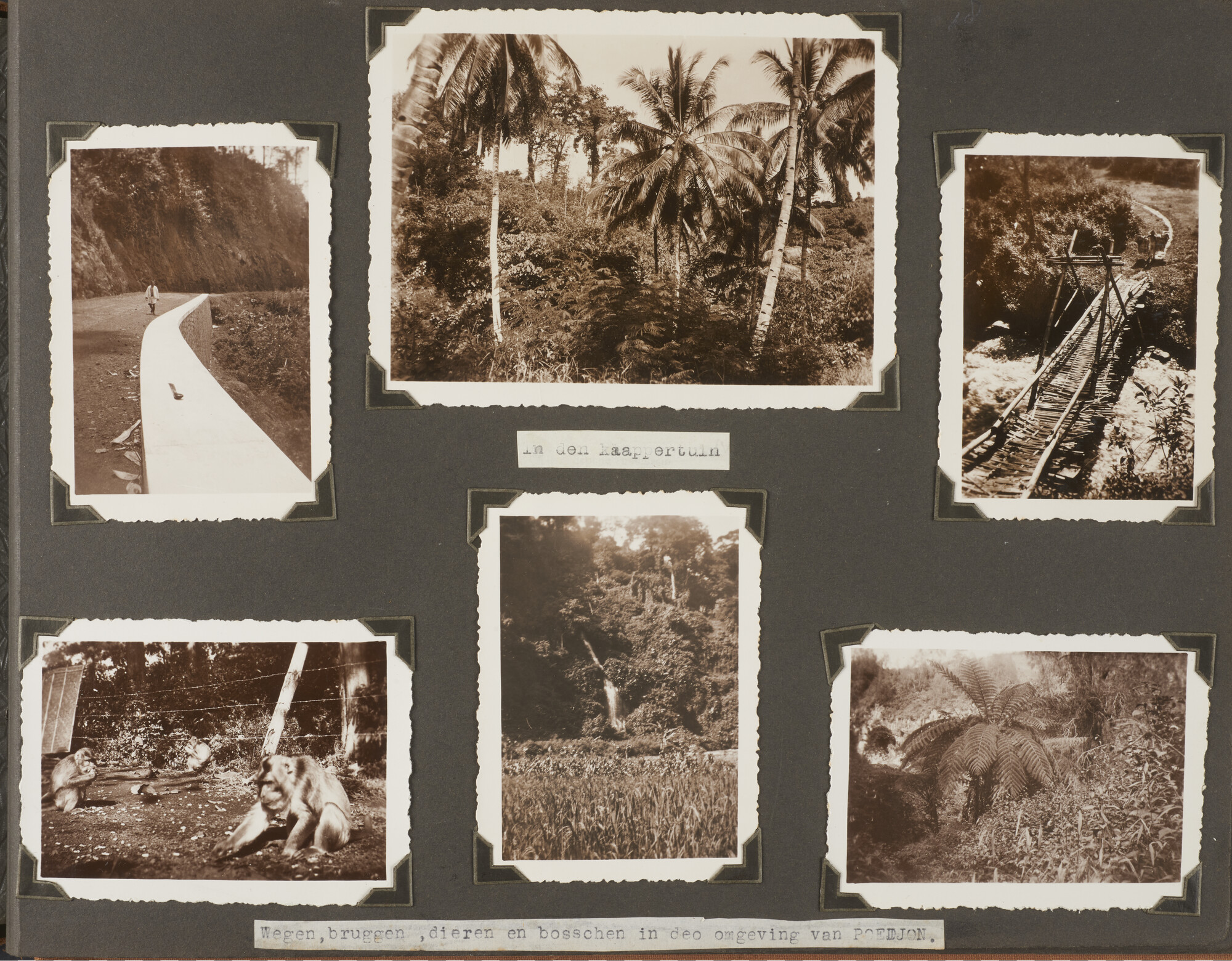 2019.0973; Fotoalbum van luitenant-ter-zee 2e klasse bij de Dienst der Conservatie Bouwen Huisman (1912-2001); fotoalbum