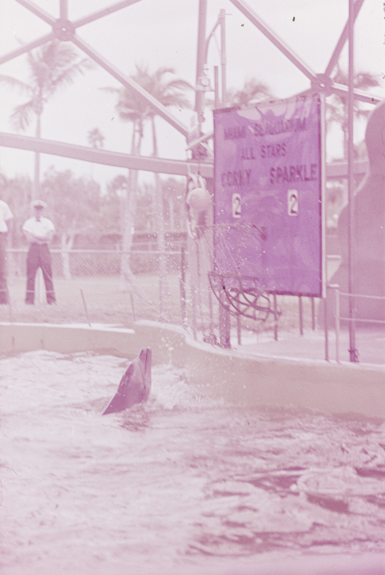 2015.0759; Dia van het dolfinarium in Sydney; diapositief