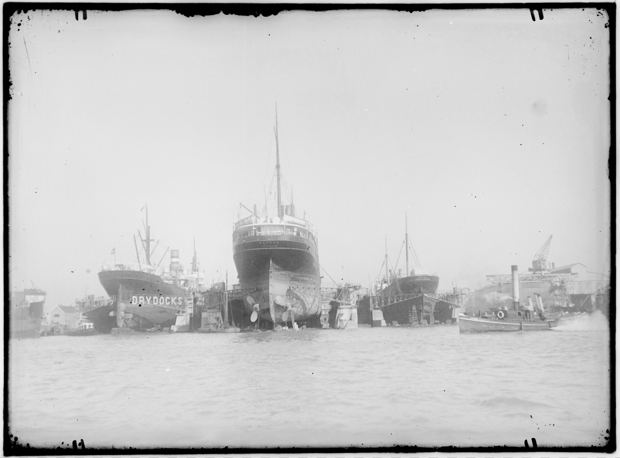 2018.1870; Glasnegatief van het vrachtschip Zuiderdyk (Nederlands, 1912), het vracht-en passagiersschip Ryndam (Nederlands, 1901) en het vrachtschip Agator; glasnegatief