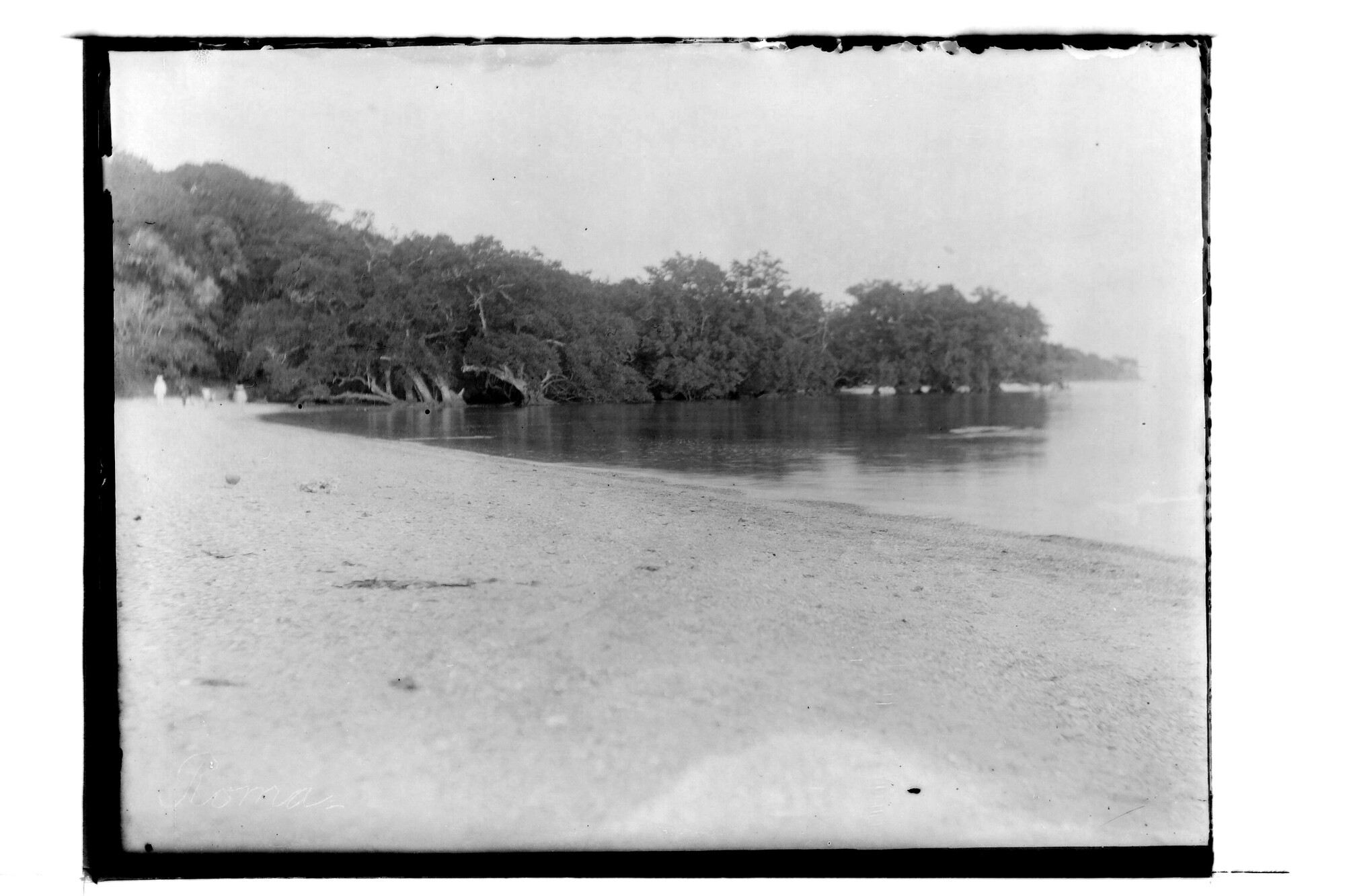 S.3319(115)a; Strandje op het eiland Roma (Nederlands-Indië); negatief