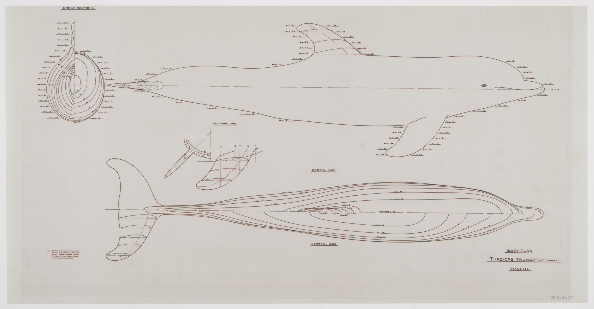 2015.4370; Lijnenplan voor een sleepmodel van een tuimelaar; technische tekening