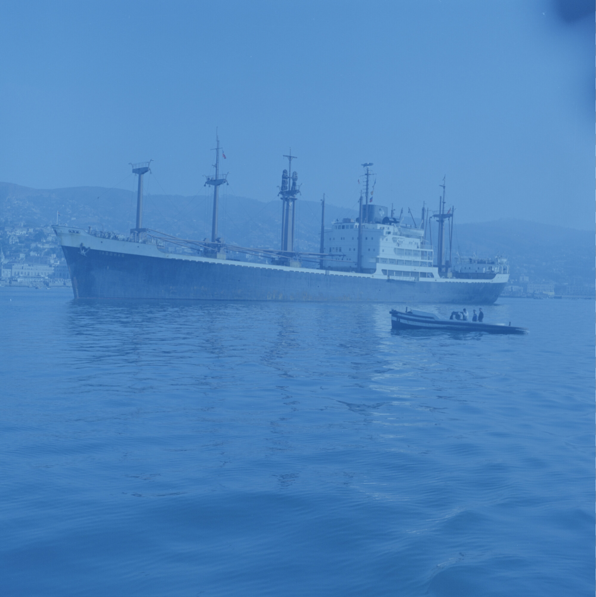 2015.3864; Negatief van ms. Banggai; negatief