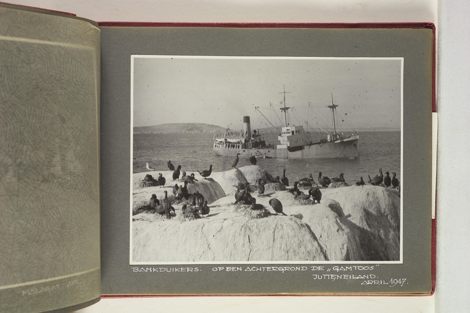 1996.1629; Foto's gemaakt aan boord van het walvismoederschip ms. Willem Barendsz (I); fotoalbum