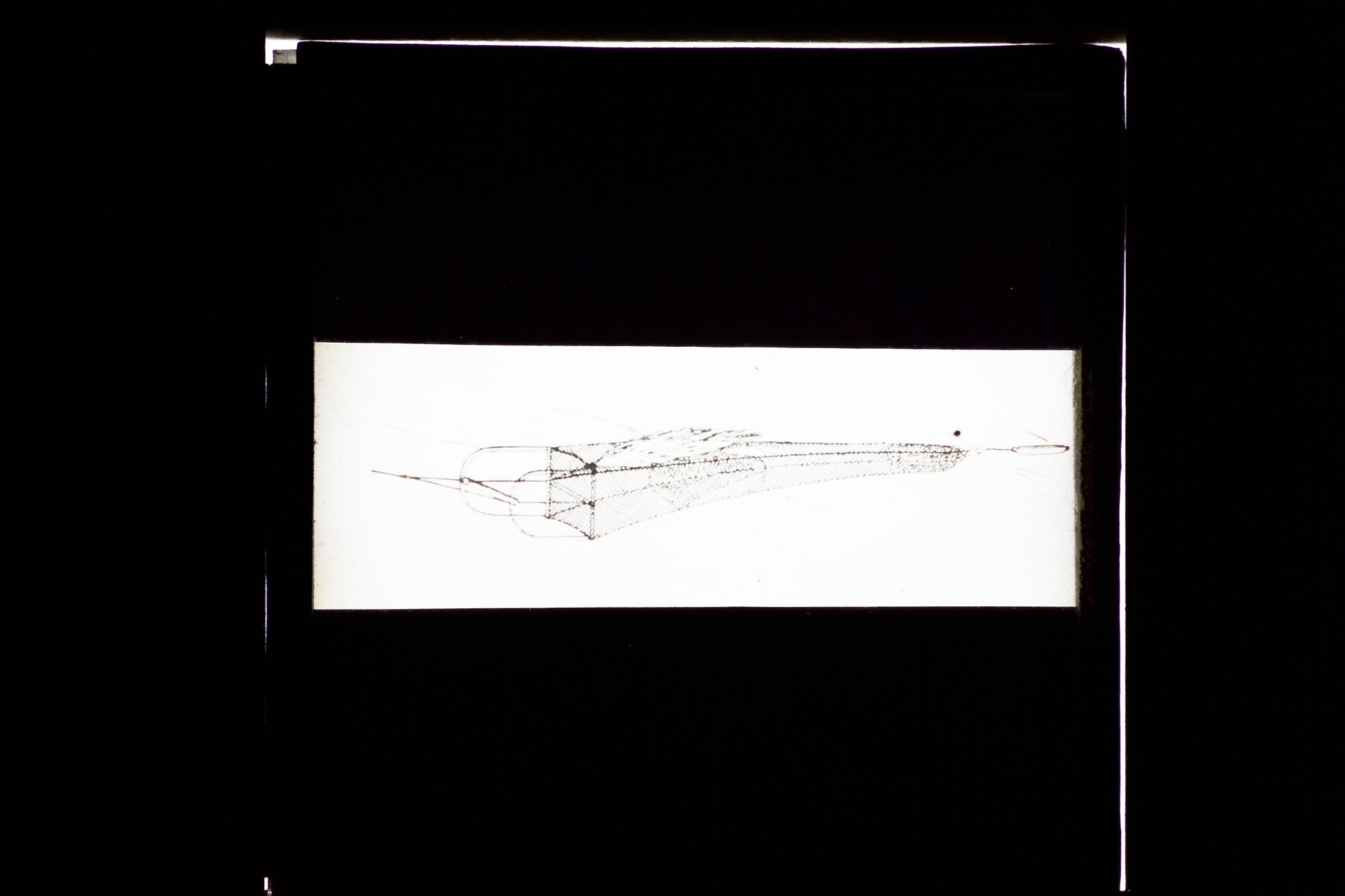 S.3319(281); Schematische tekening van een diepzeekor; lantaarnplaatje
