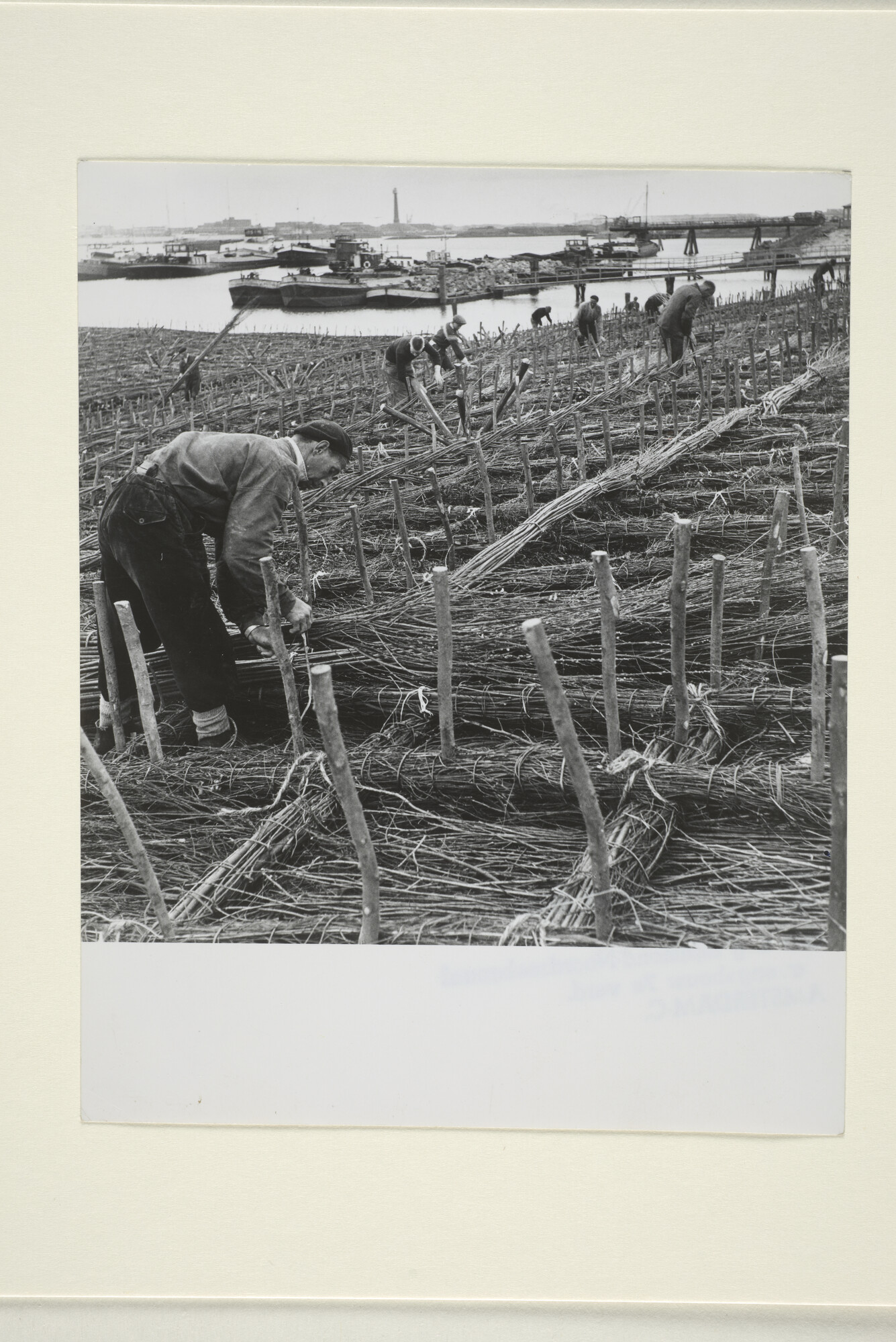 1998.0491; 'Rijshoutvlechters, een beroep van vader op zoon'; foto