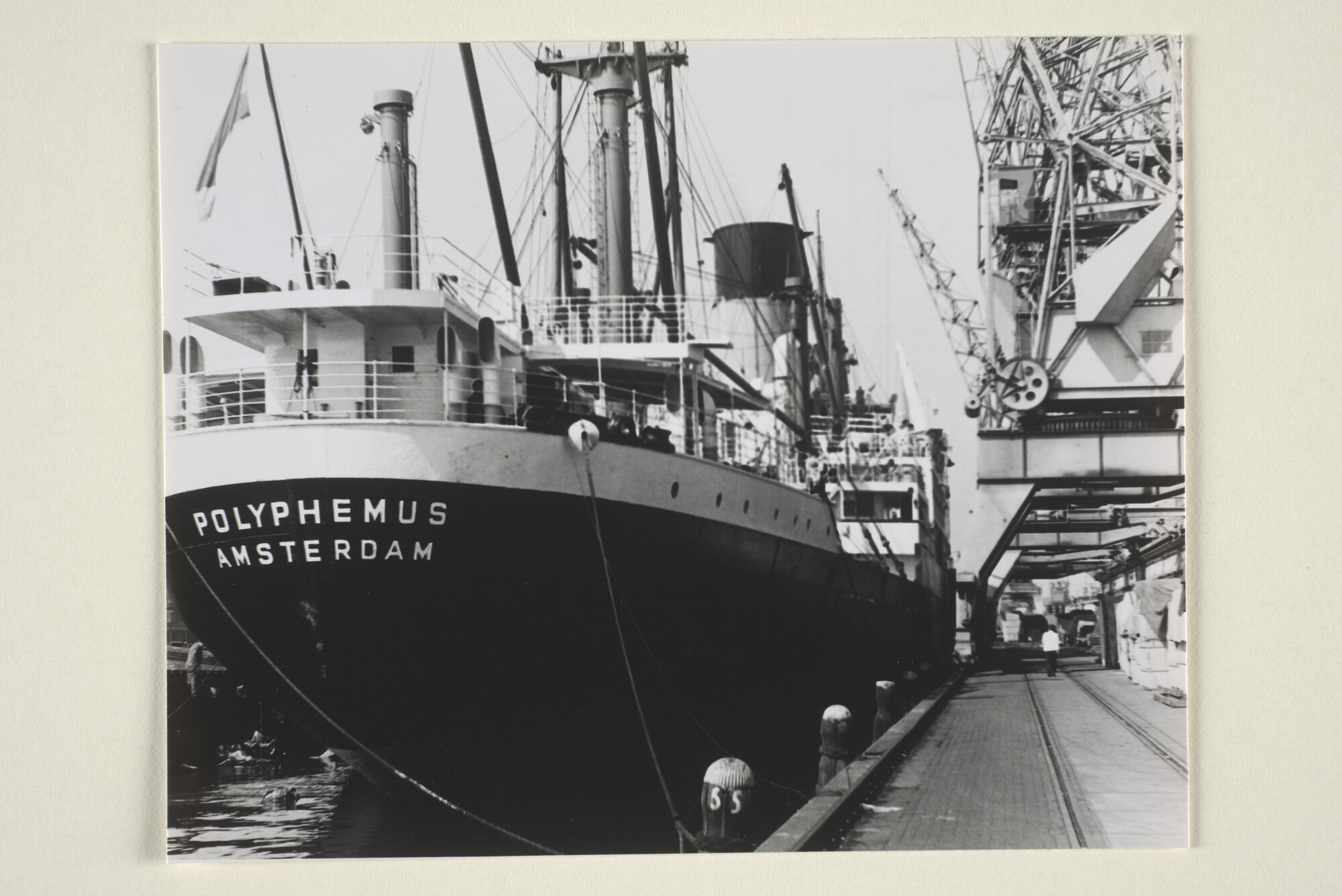 1995.5430; Het vrachtschip ms. Polyphemus van de Nederlandsche Stoomvaart Maatschappij "Oceaan"; foto