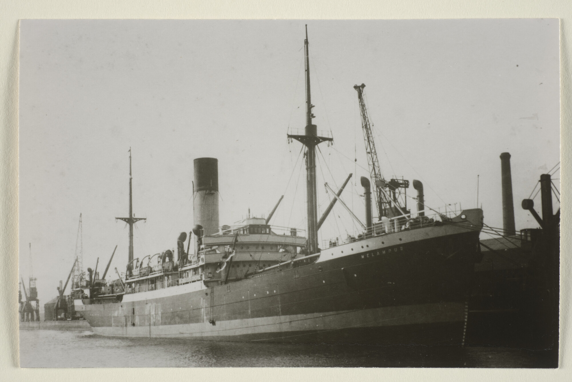 1995.5441; Het vrachtschip ss. 'Melampus' van de Nederlandsche Stoomvaart Maatschappij "Oceaan" aan een kade; foto