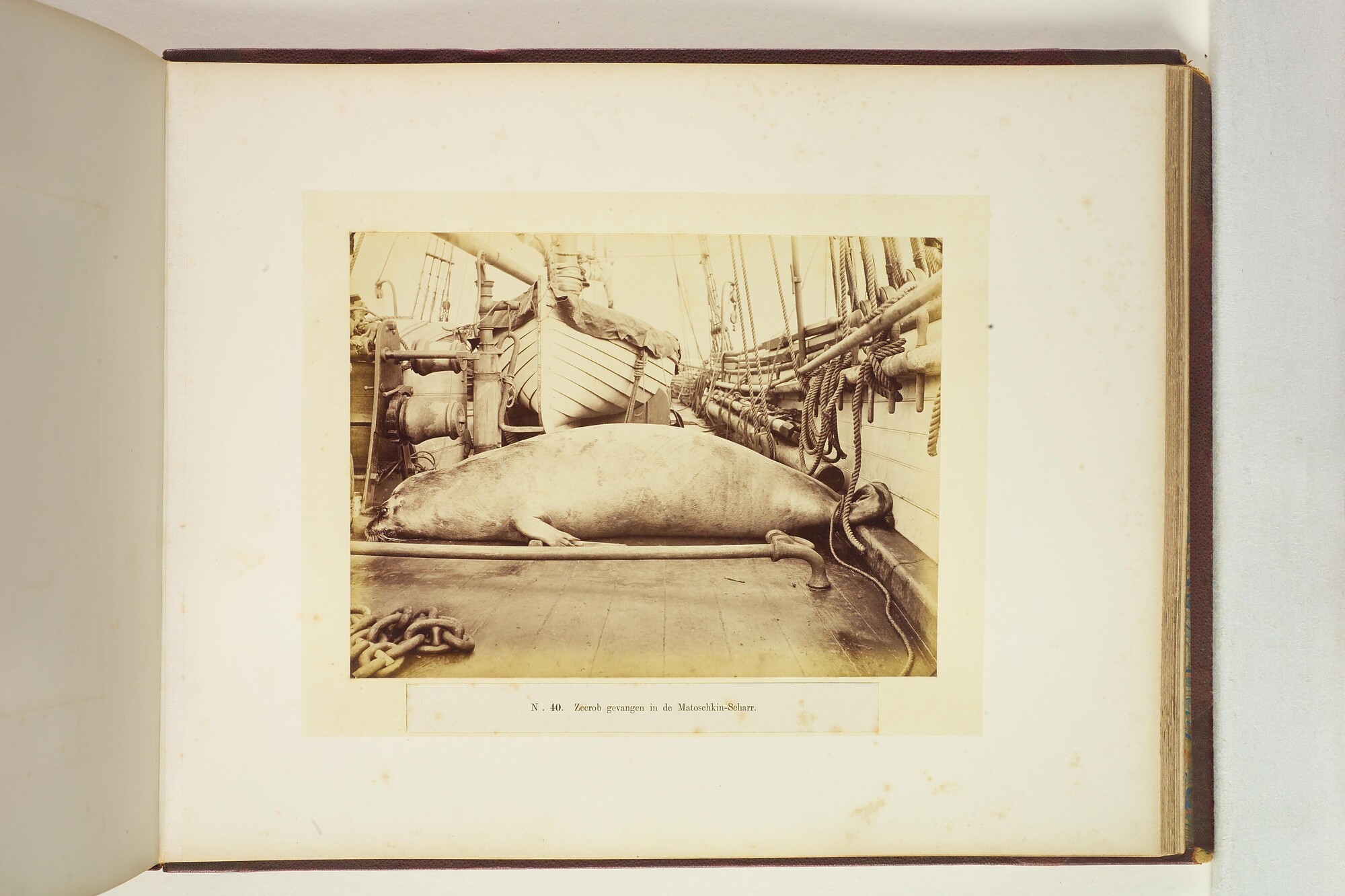 S.2956(08); Album met foto's van de Eerste Noordpoolexpeditie van de Willem Barents; fotoalbum