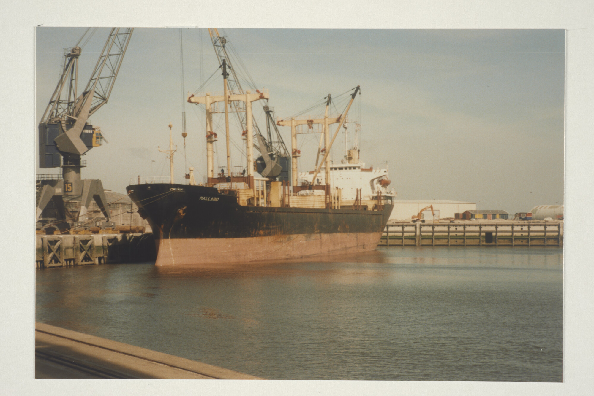 1998.1561; Kleurenfoto van het Cypriotische vrachtschip ms. Mallard (ex- Joint Confidence) gezien in de haven van Delfzijl; foto