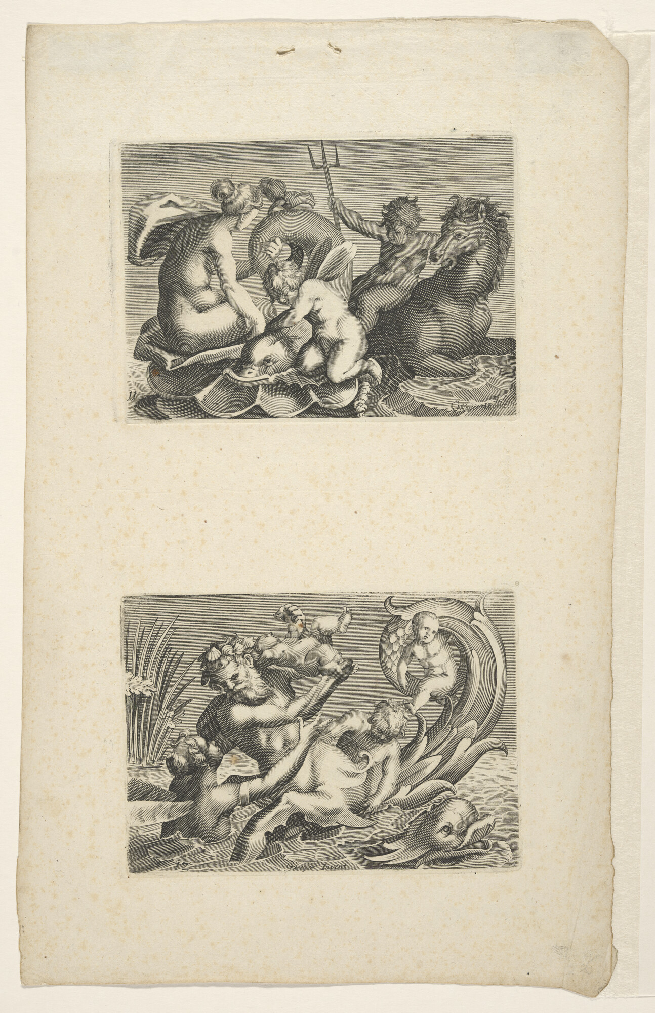 A.1081(e)6; Monstra Marina Möehr Wünder; prent
