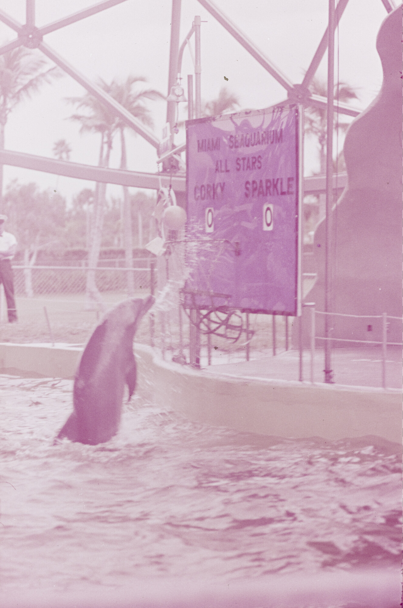 2015.0762; Dia van het dolfinarium in Sydney; diapositief