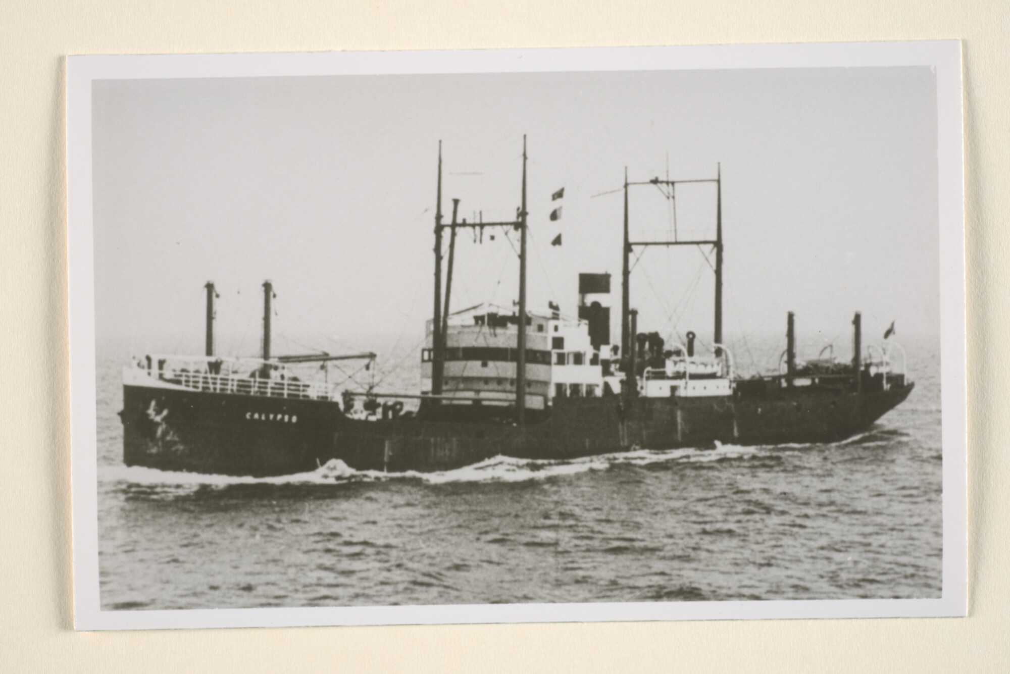 1995.6625; Het vrachtschip ss. 'Calypso' van de KNSM; foto