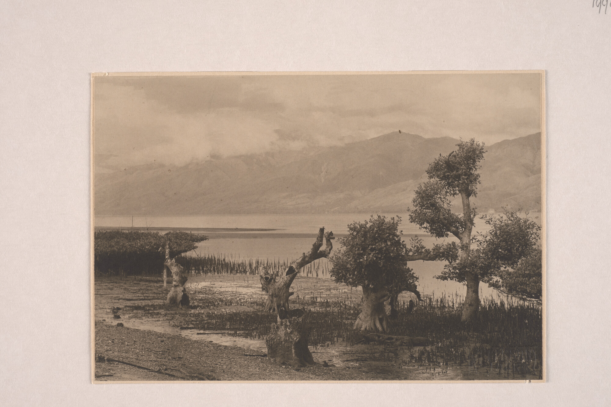 1994.5814; Gezicht op de omgeving van Wani aan de Paloe-Baai bij Donggala (West Celebes); foto