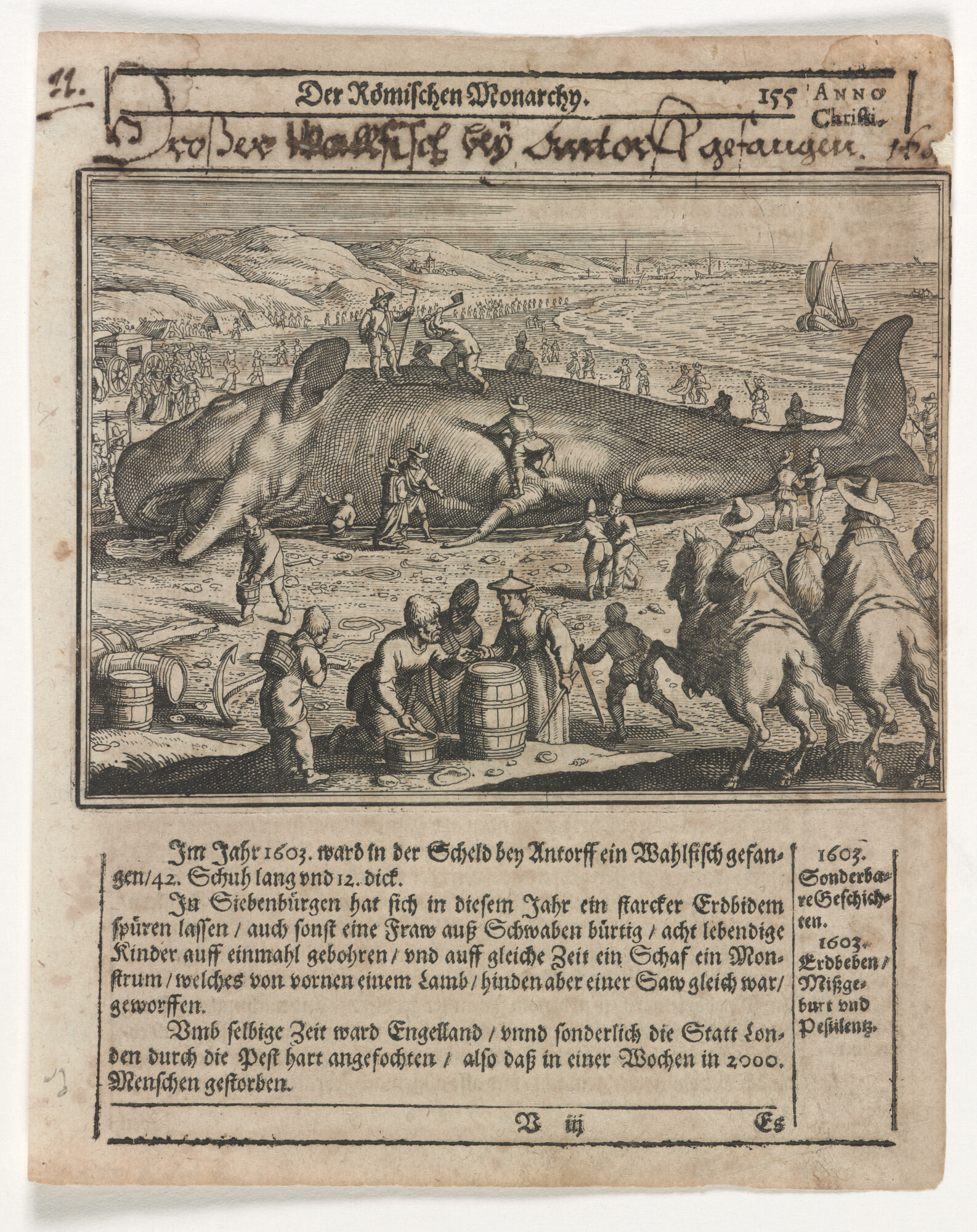 2012.1544; Prent van een gestrande potvis; prent