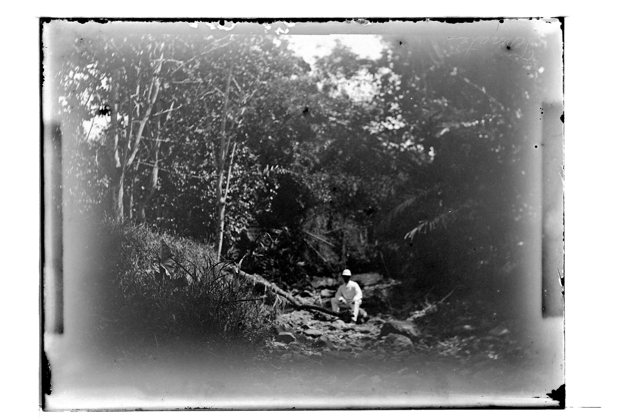 S.3319(143)a; luitenant ter zee 2 H.J. Boldingh in het bos te Ternate; negatief