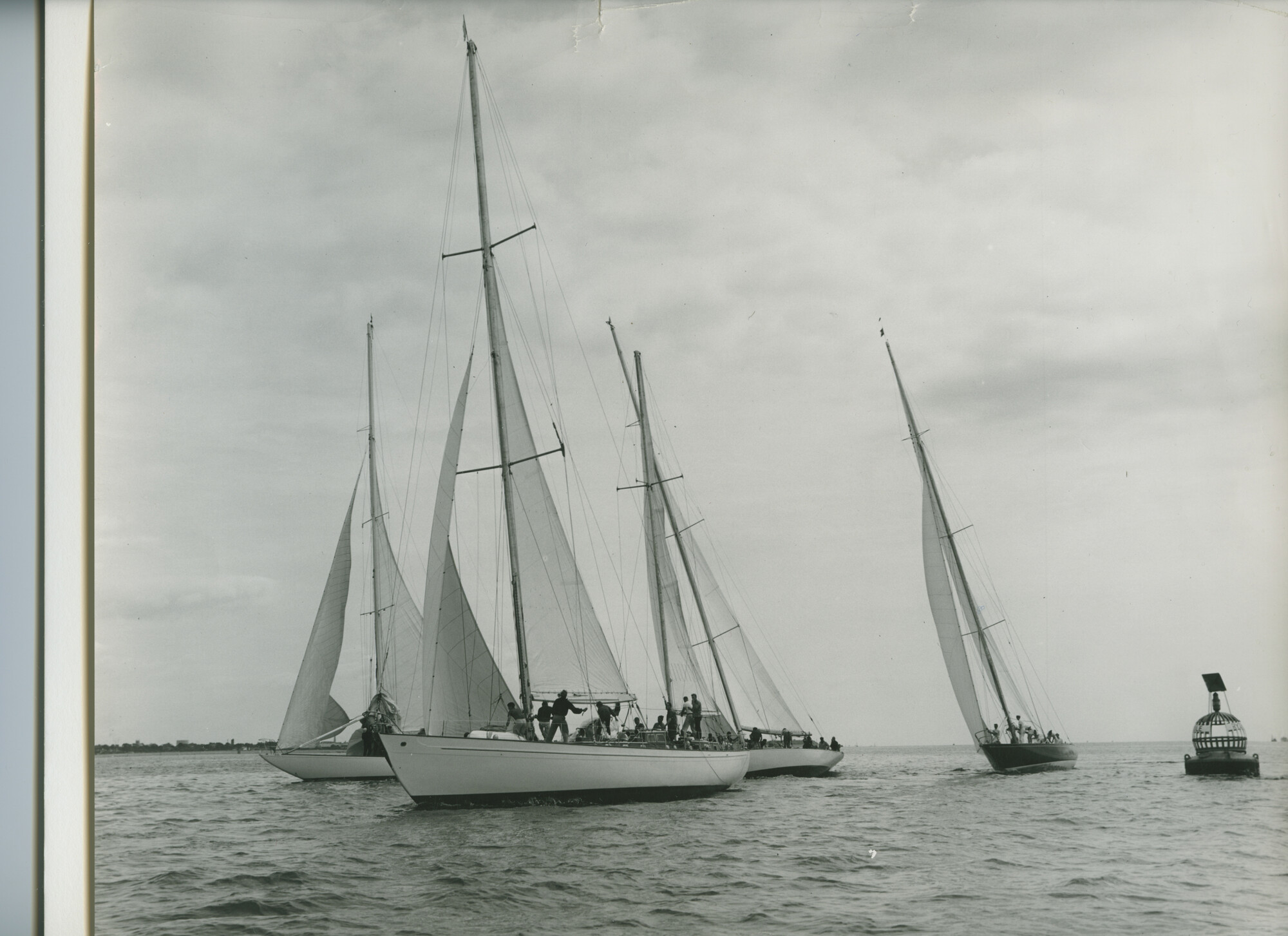 S.6507(01)2343; Foto van de Stormvogel; foto